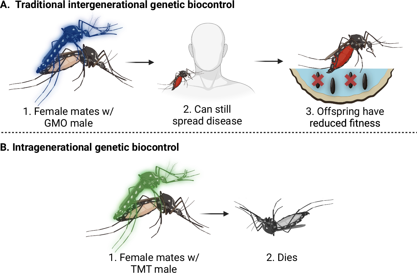 Nature's SecretsIntense ReignHidden Power