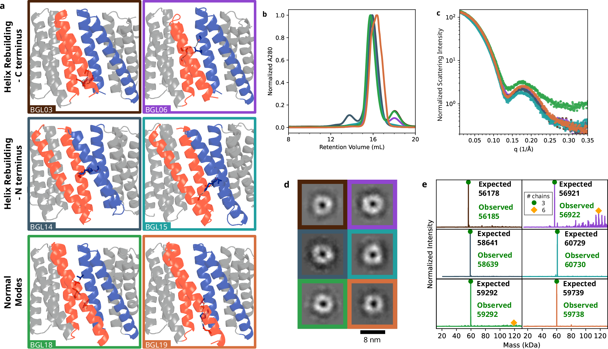 Fig. 2: Characterization of BGL homotrimers.