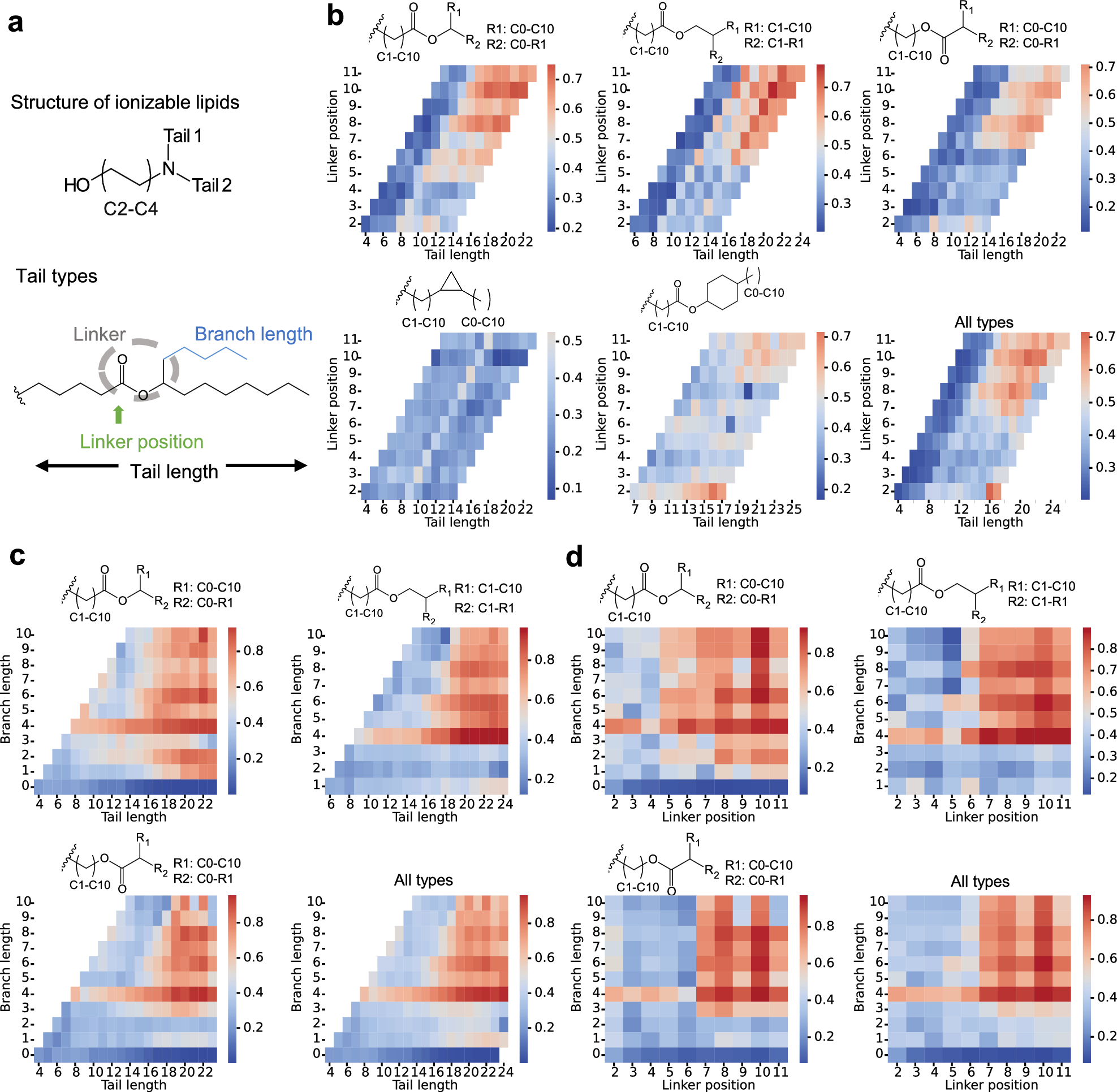 Fig. 5: Structure analysis of ionizable lipids informed by AI models.