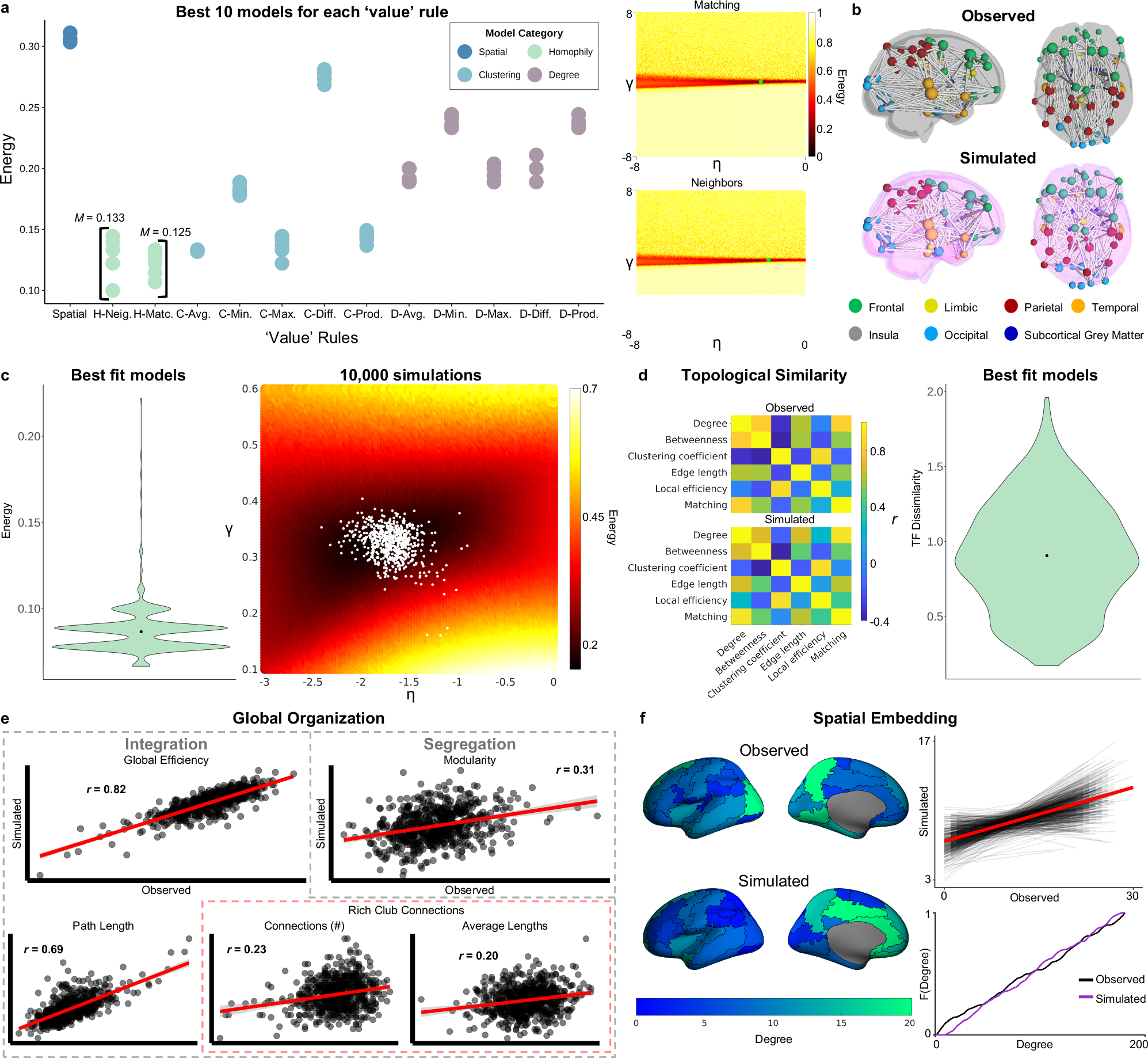 Fig. 4: A generative network model of neonatal networks.