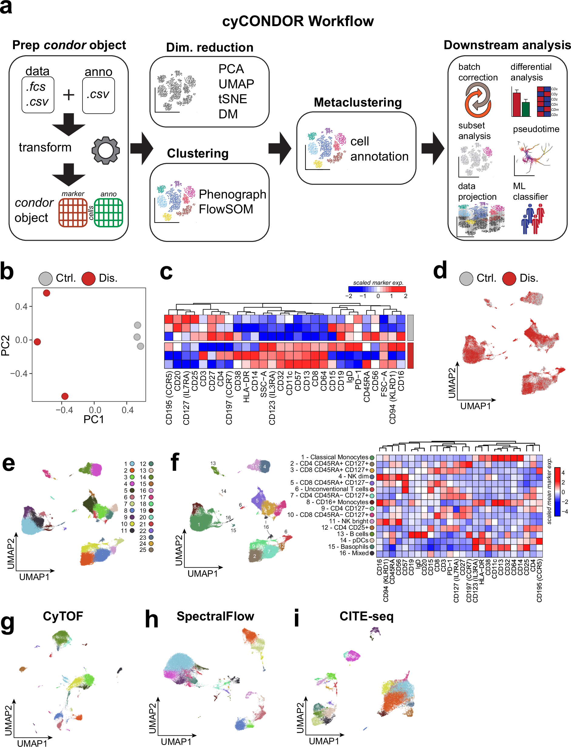 Fig. 2: cyCONDOR workflow for data pre-processing and annotation.