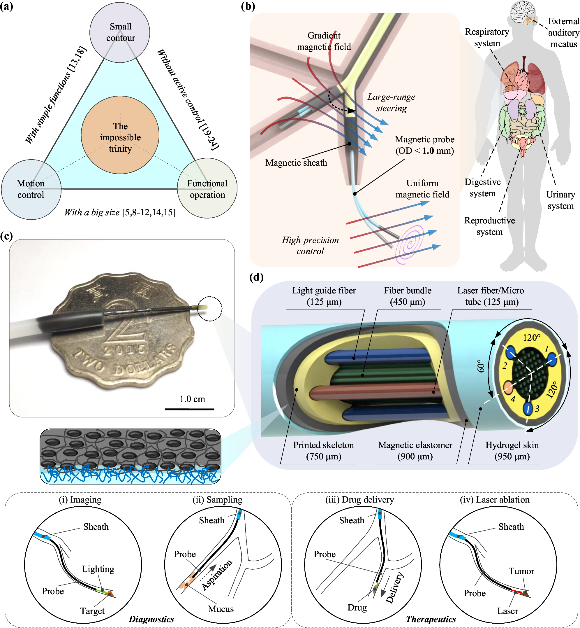 Fig. 1: Overview of the optical fiber-based sub-millimeter continuum robot with imaging, maneuvering, and medical operation capabilities.