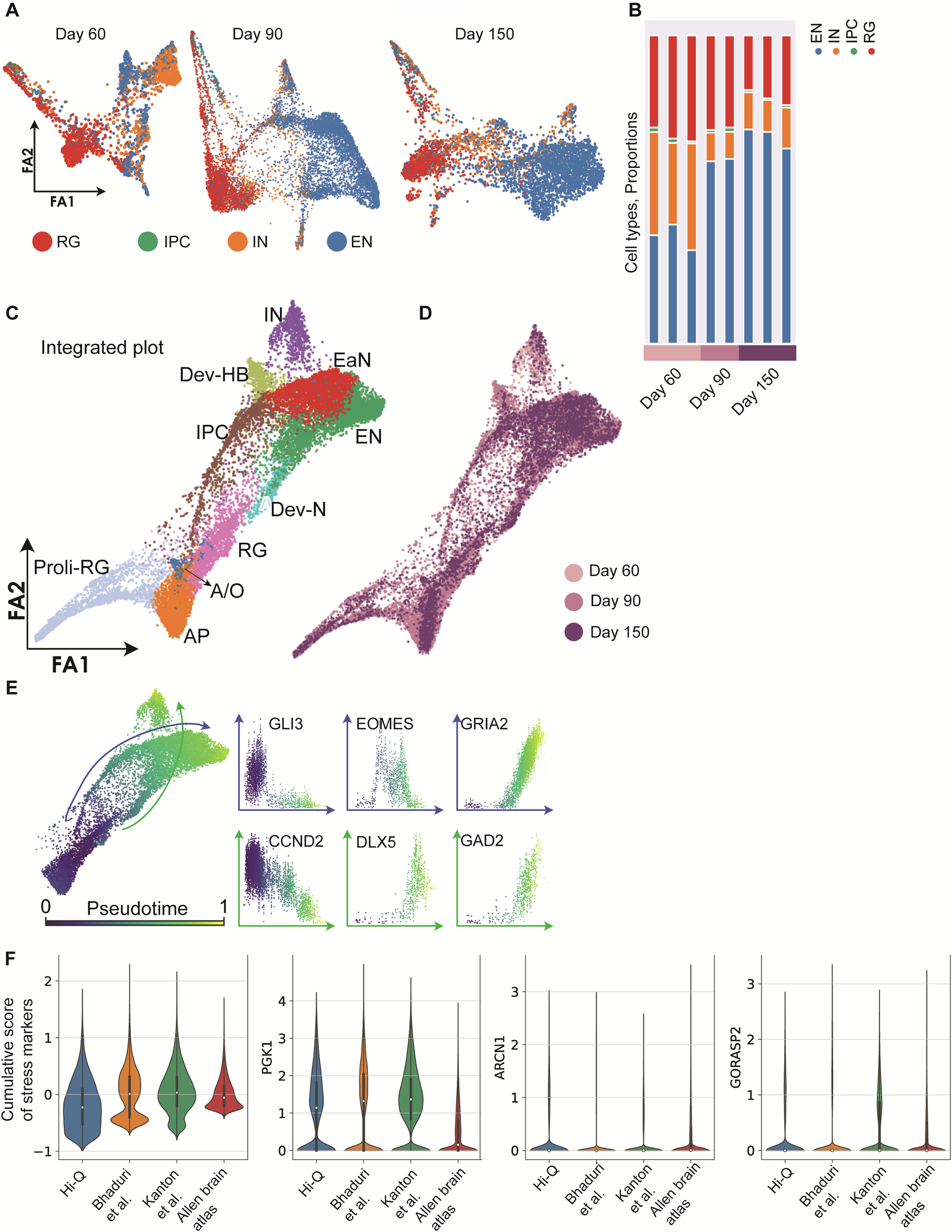 Fig. 2: Cell type diversity in Hi-Q brain organoids across maturation.