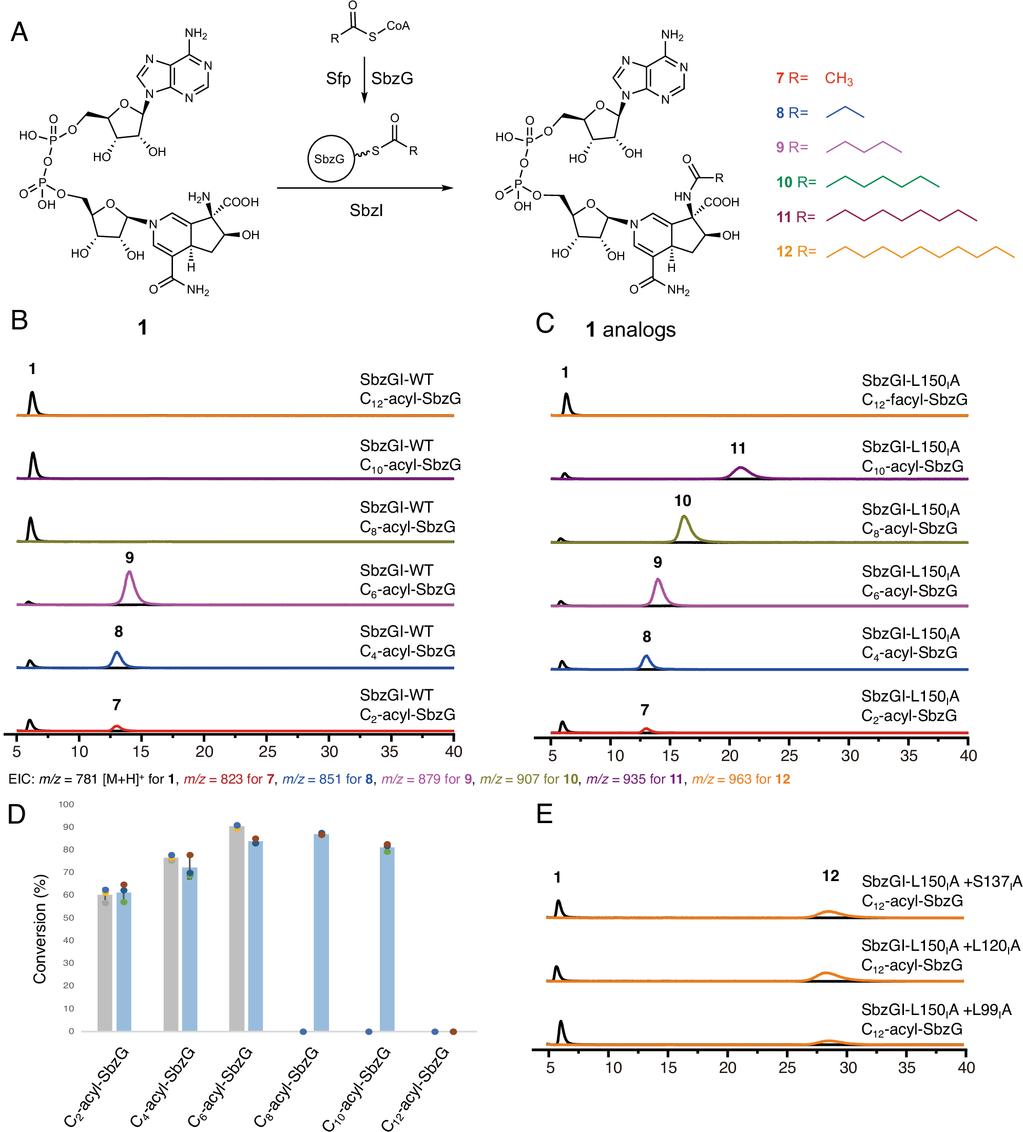 Fig. 4: Substrate scope of SbzI and engineering the substrate selectivity of SbzI.