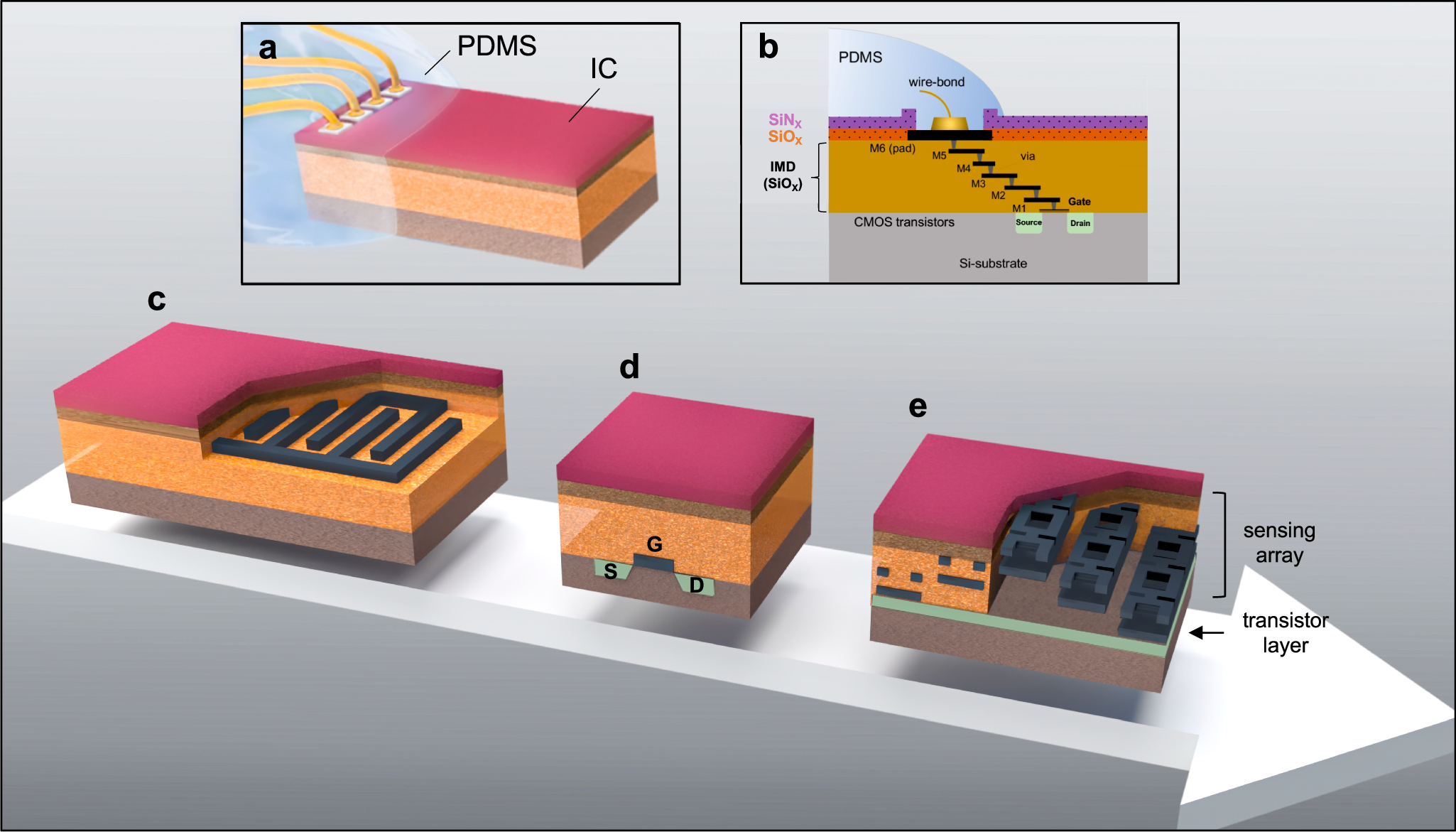 体内環境でのシリコンIC劣化メカニズムを解明する新しい研究 (Advancements in neural implant research enhance durability)