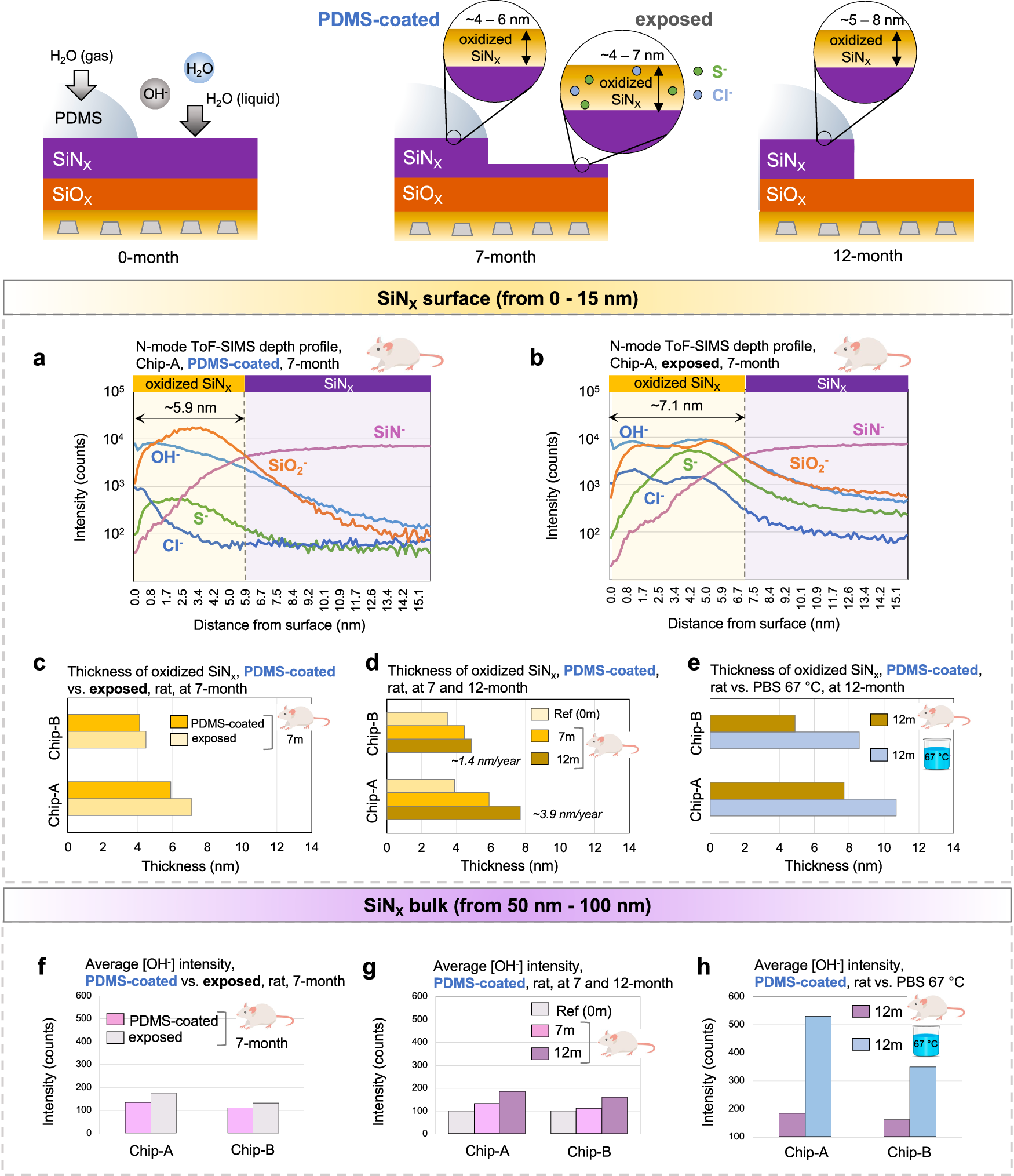 Fig. 6: Chemical stability and moisture barrier performance of PDMS-coated and exposed passivation layers after accelerated in vitro (unbiased) and in vivo aging.