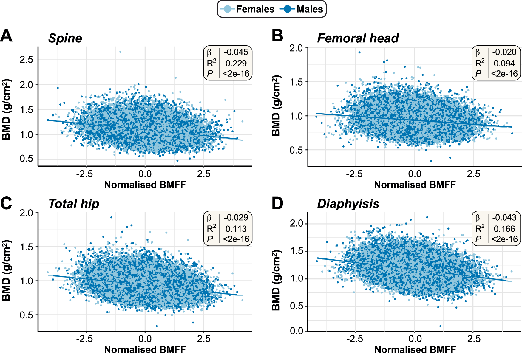 Fig. 3: Associations between BMFF and bone mineral density at each site.