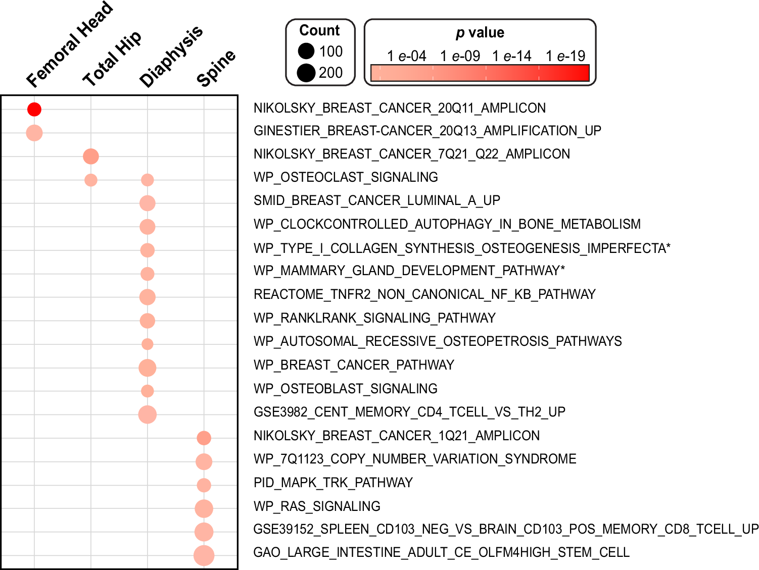 Fig. 6: MAGMA Gene-set analysis for Meta-GWAS in the white unrelated population.