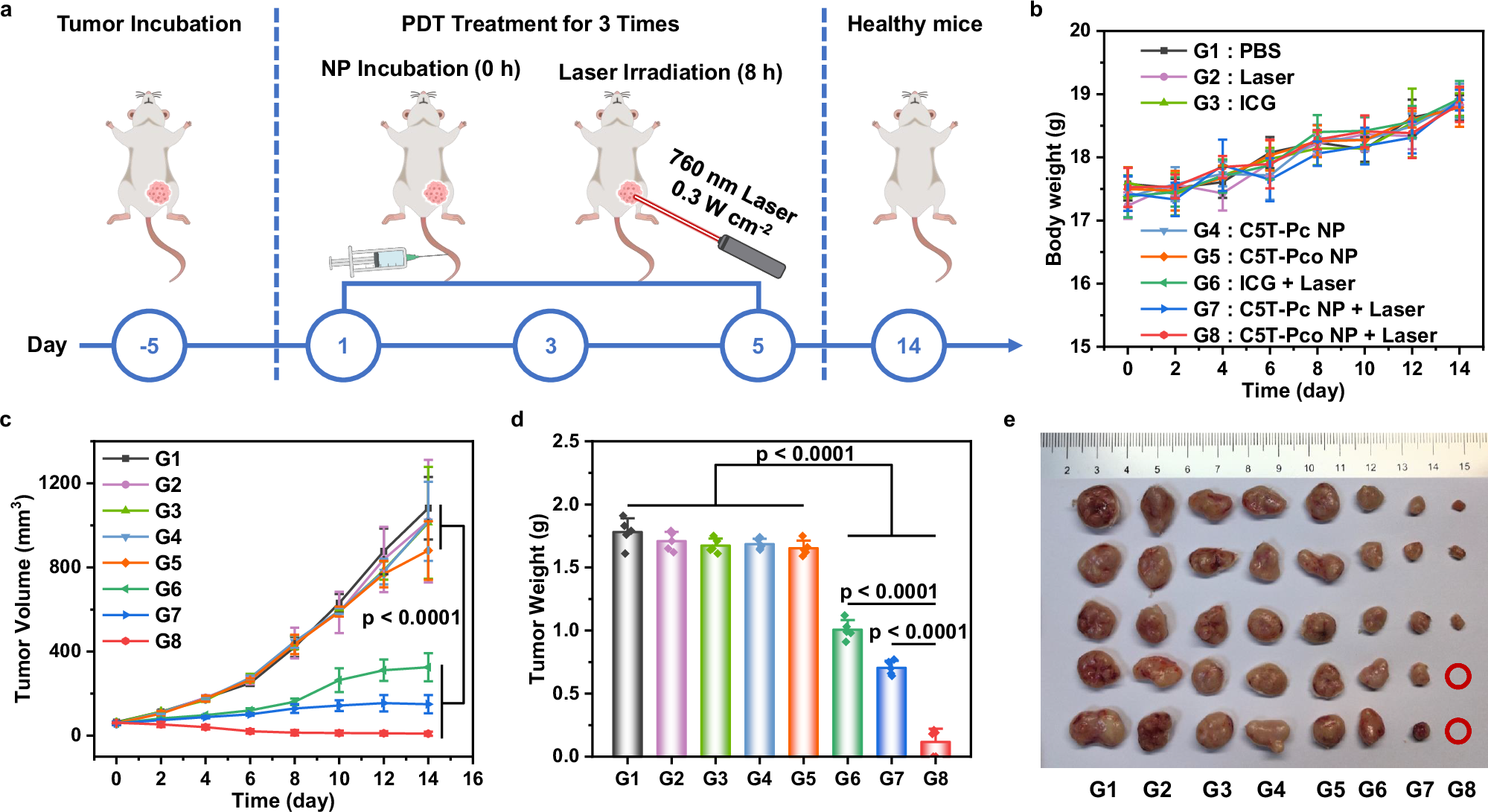 Fig. 7: Anti-tumor therapeutic effect in vivo of C5T-Pc and C5T-Pco NPs.