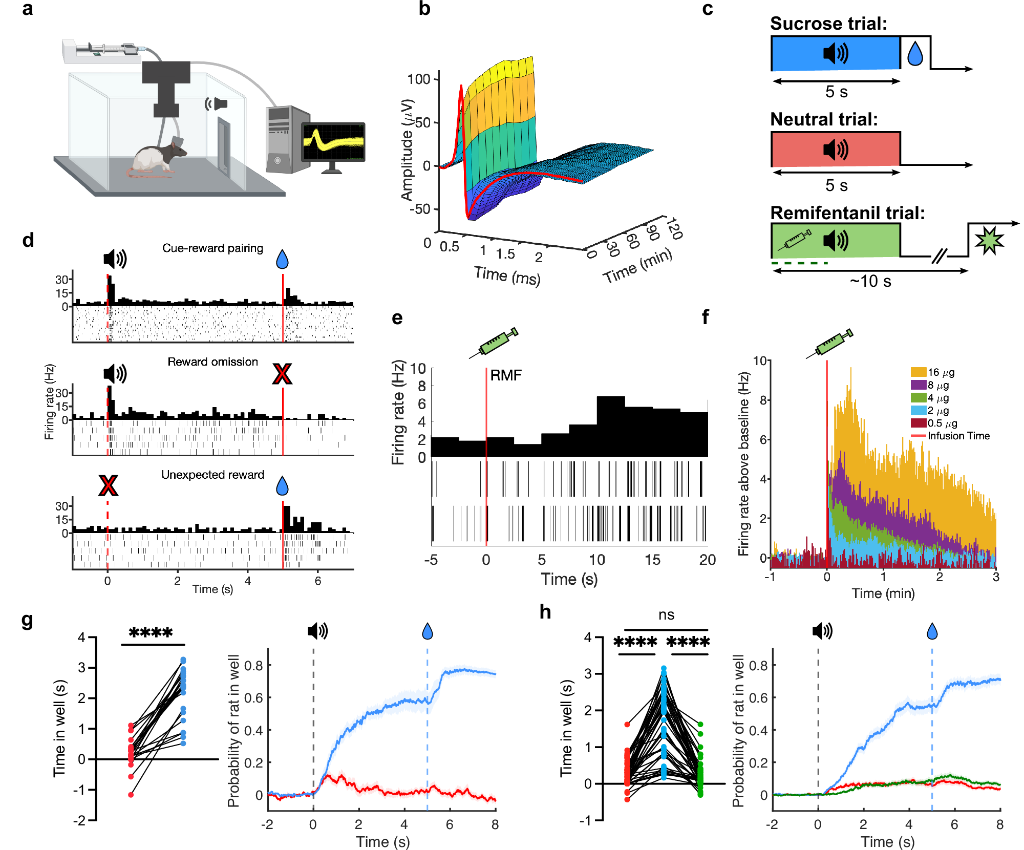 Fig. 1: Pavlovian experimental procedure.