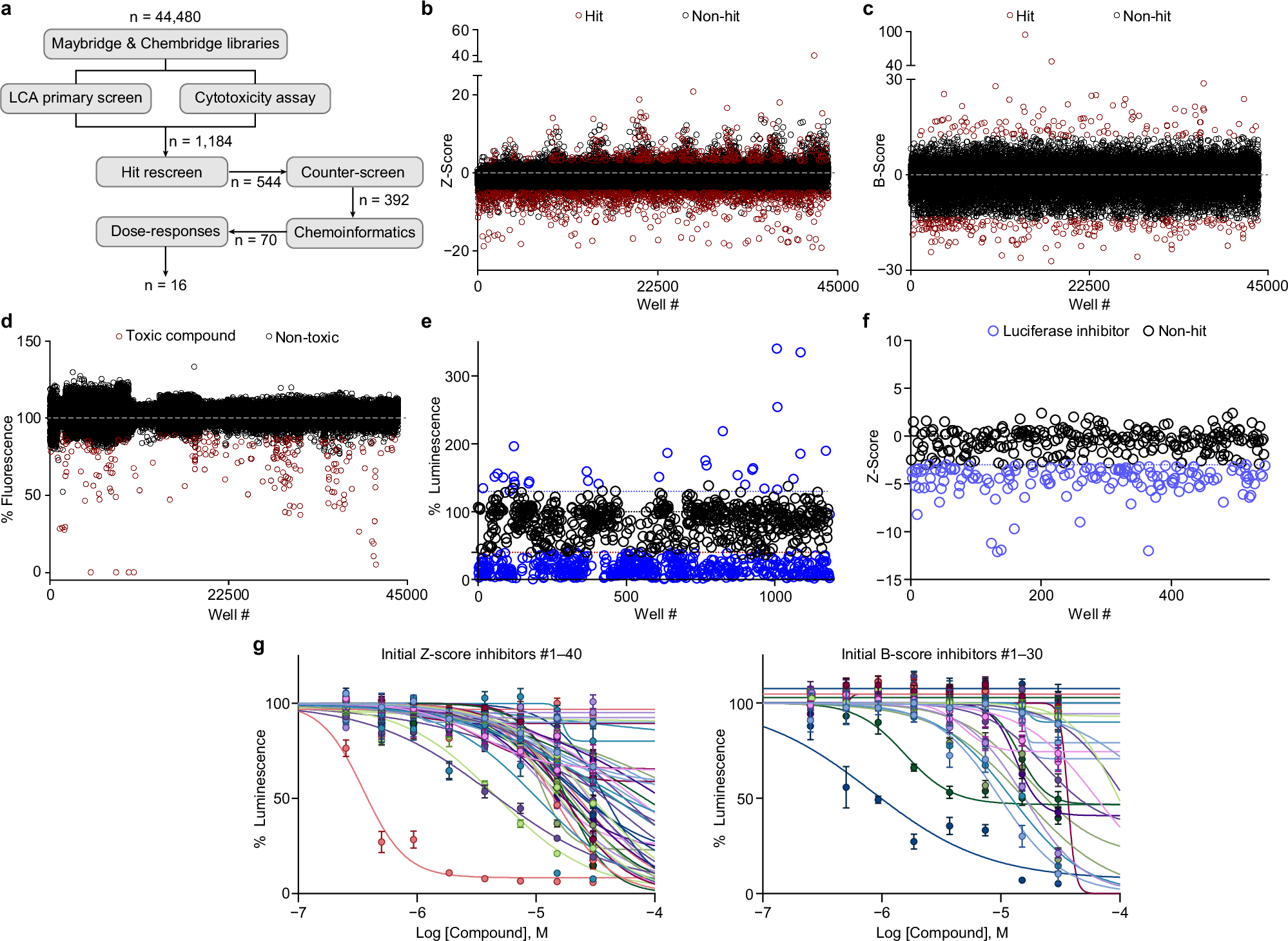 Enhanced motivated behavior mediated by pharmacological targeting of the  FGF14Nav1.6 complex in nucleus accumbens neurons | Nature Communications
