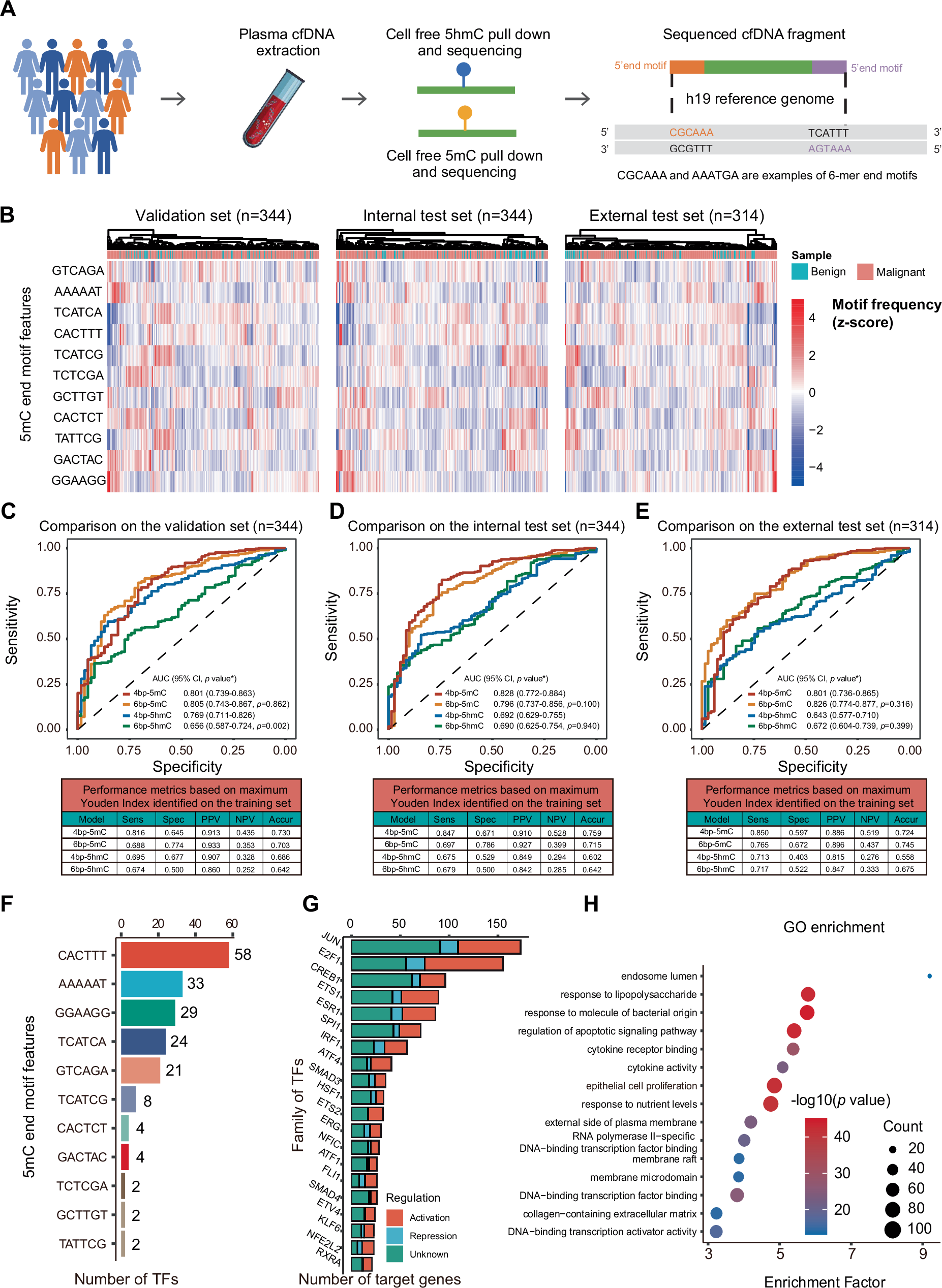 Fig. 2: Performance comparison between fragmentomic models and functional analyses.