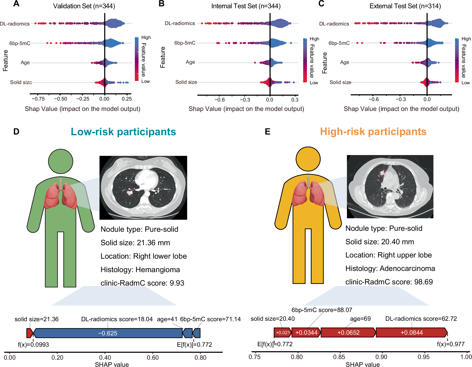 Fig. 5: Explainability analyses result of the clinic-RadmC model.