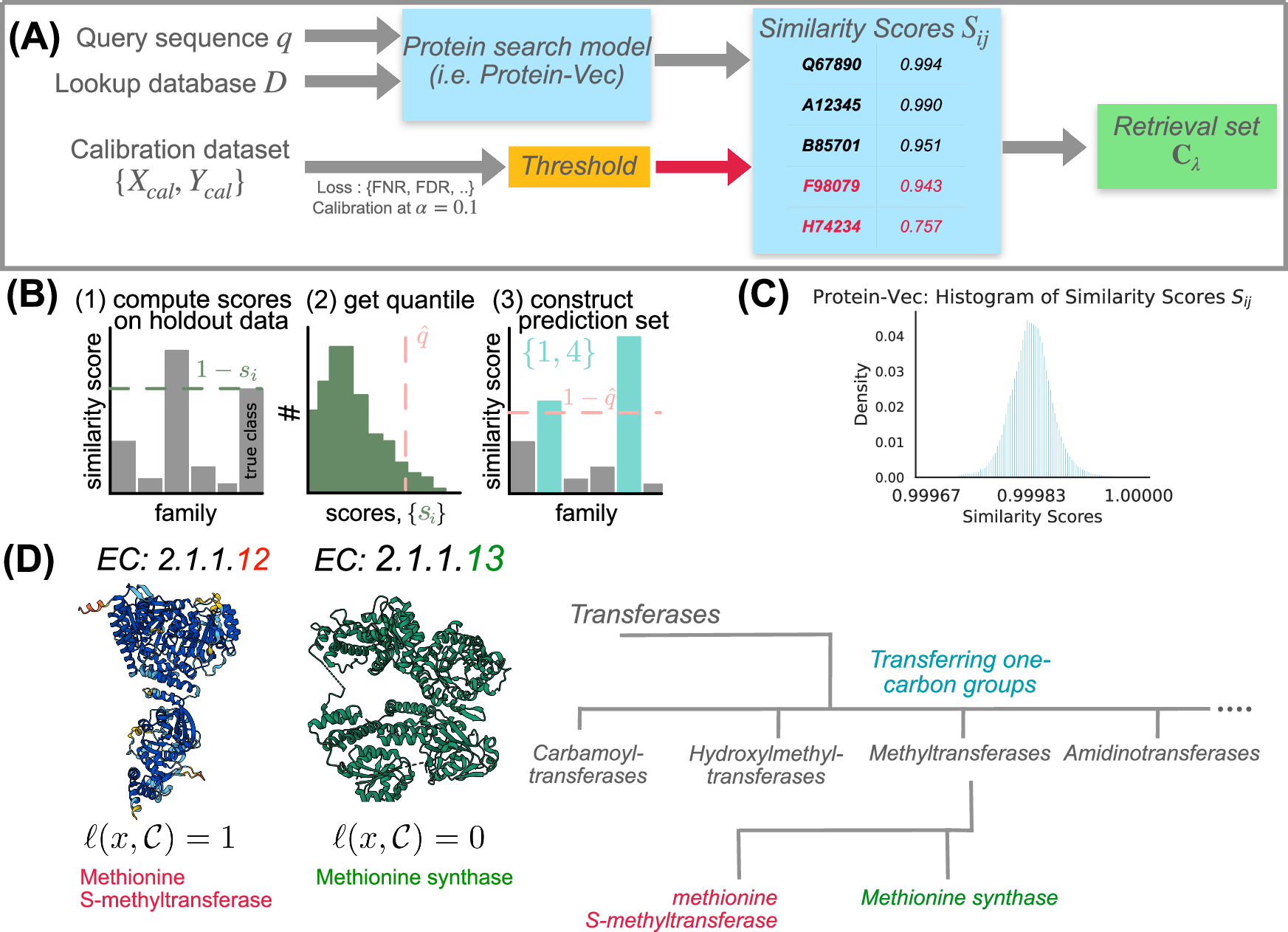 Fig. 1: Study Design and Motivation for Protein Homology Search Using Conformal Prediction.