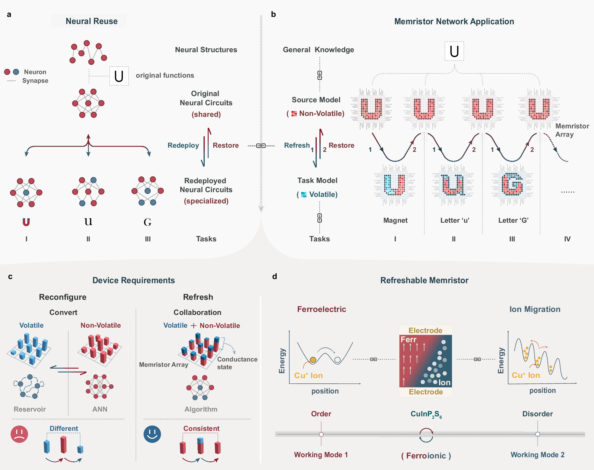 Refreshable memristor via dynamic allocation of ferro-ionic phase for  neural reuse | Nature Communications