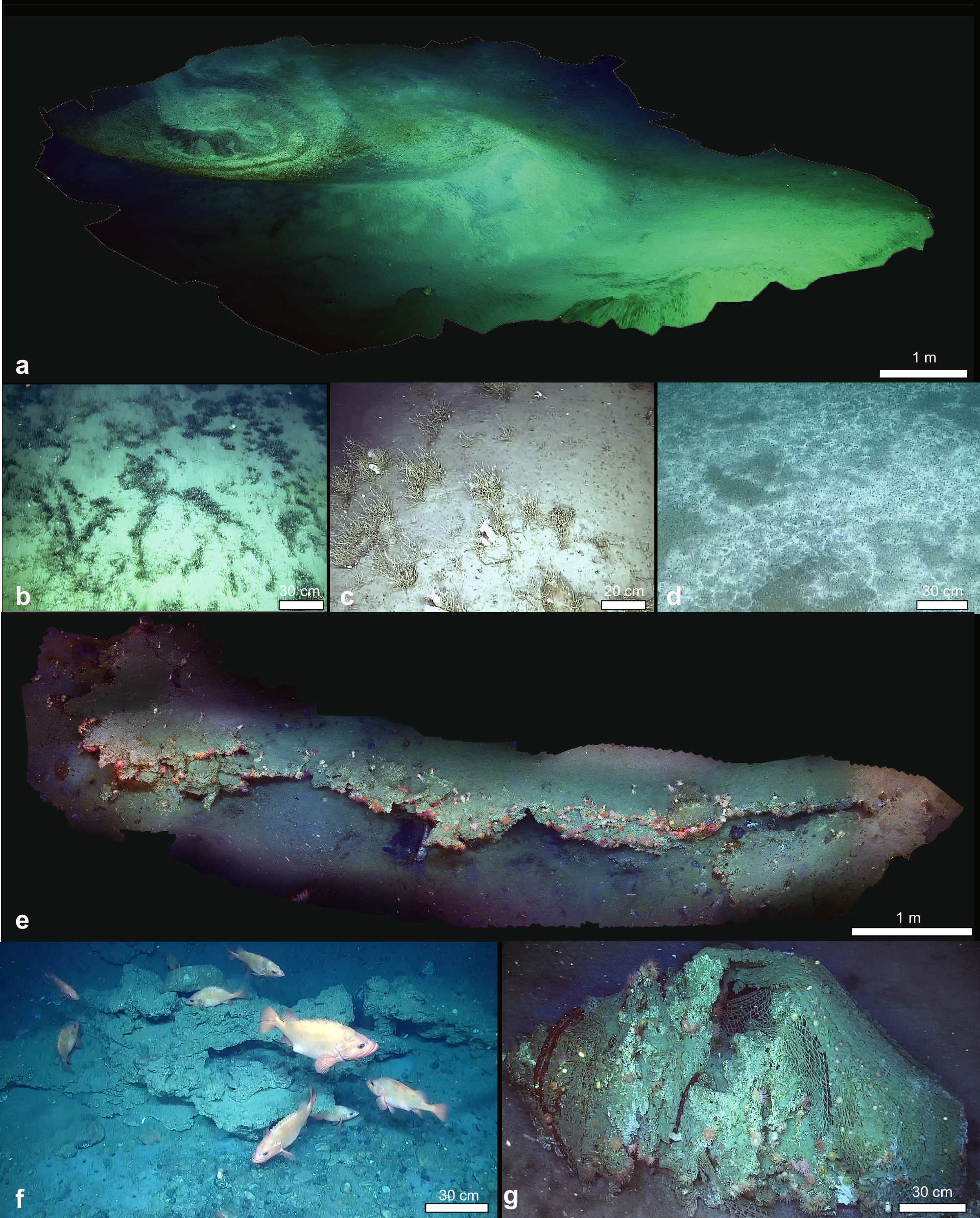 Fig. 2: Detailed ROV observations of Borealis mud volcano.