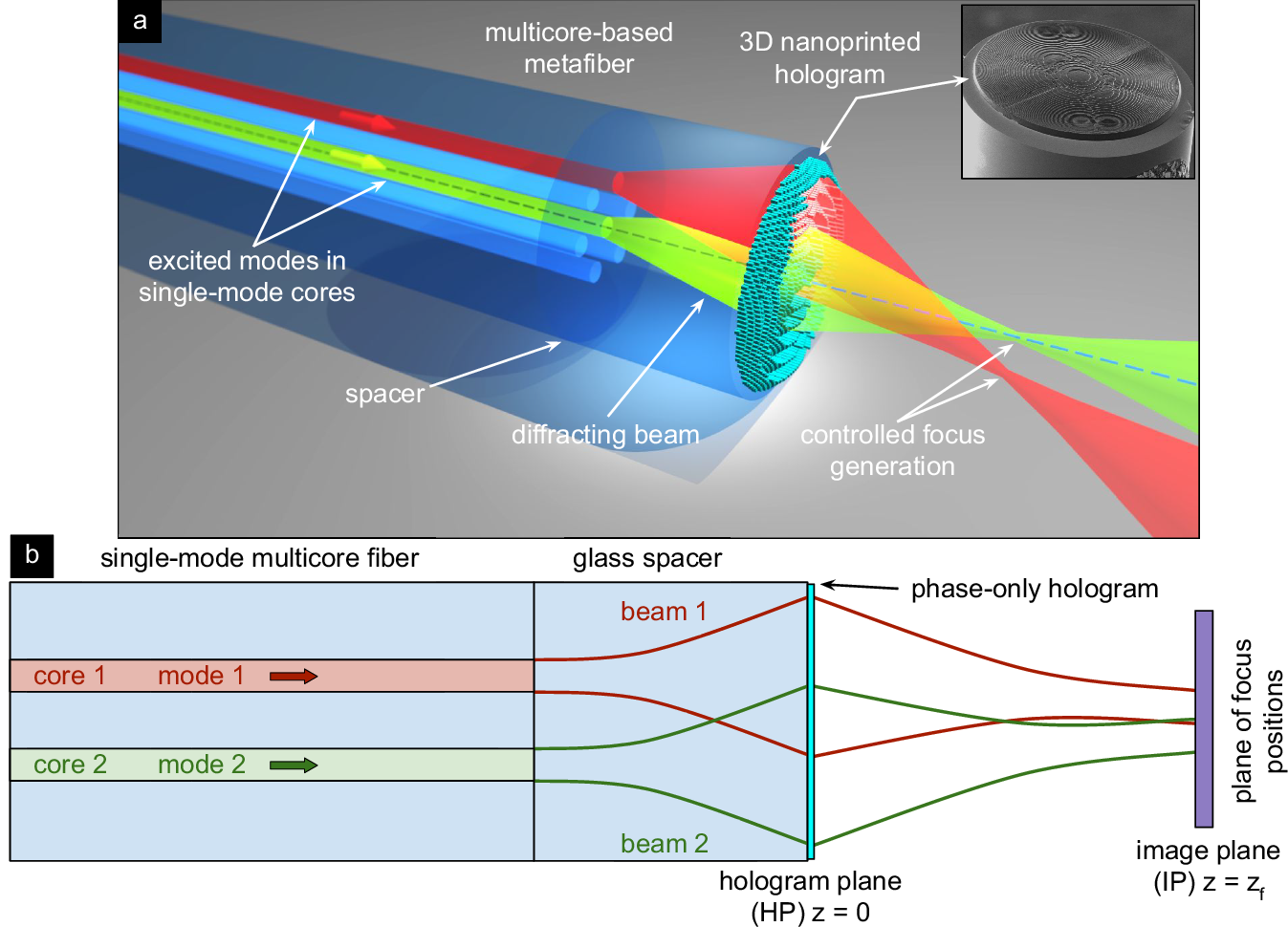 Advanced remote focus control in multicore meta-fibers through 3D  nanoprinted phase-only holograms | Nature Communications