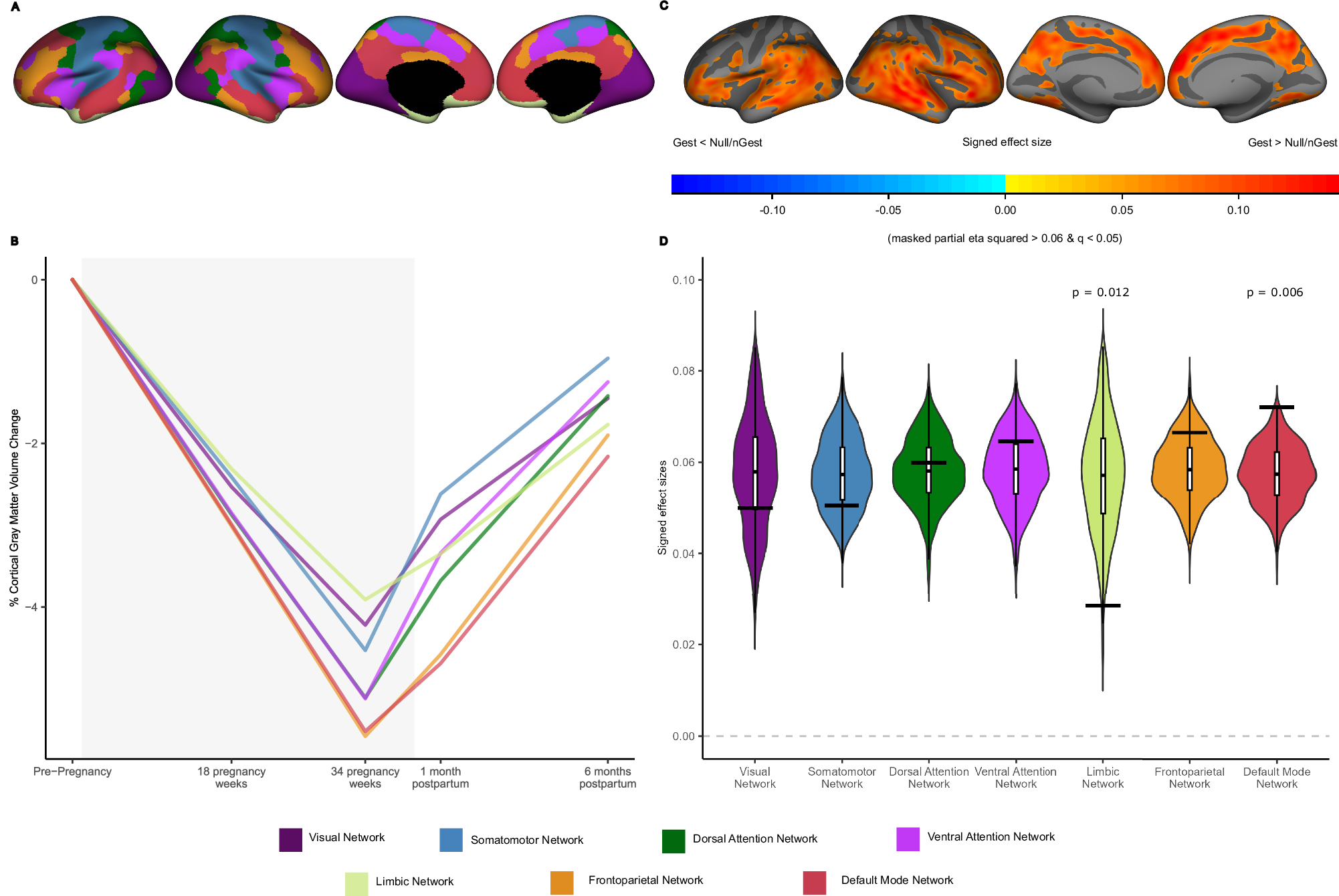 Fig. 2: Cortical gray matter volume trajectories based on the functional location of the changes in gestational mothers (N = 179).