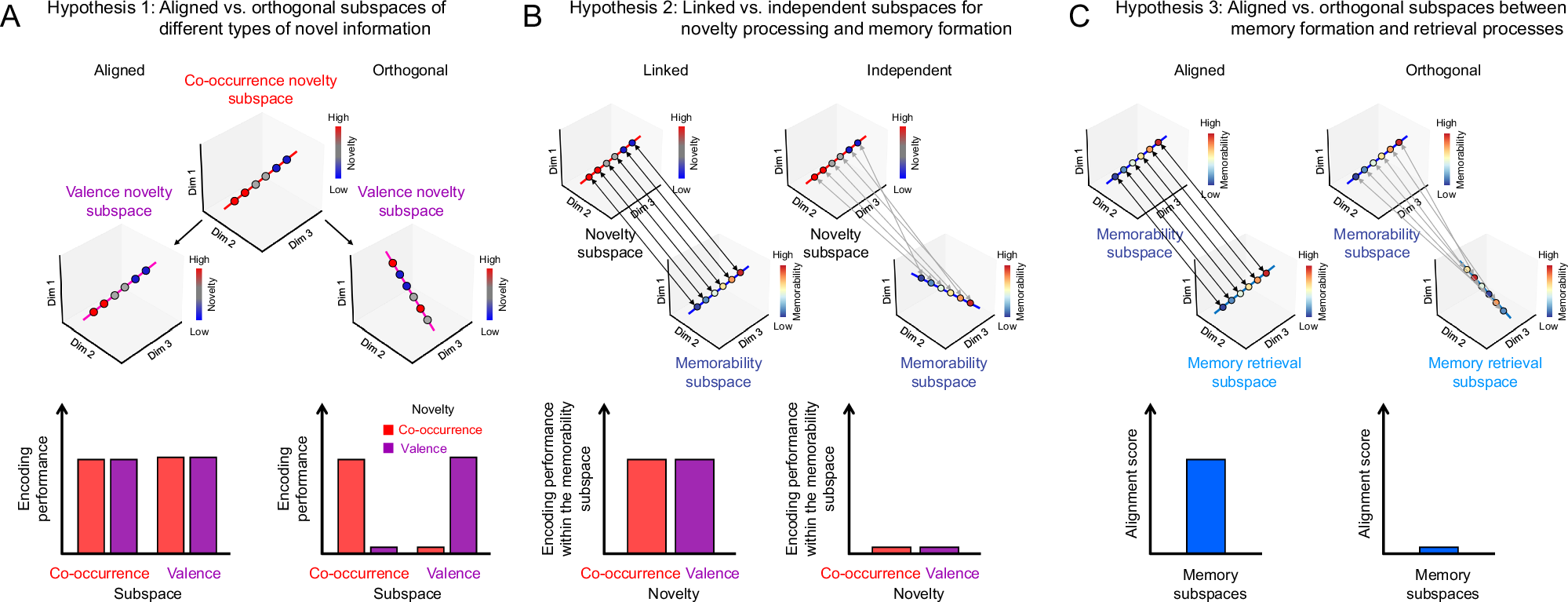 海馬が記憶の符号化と想起をどのように調整するか (How Does the Hippocampus Coordinate Memory Encoding and Retrieval?)