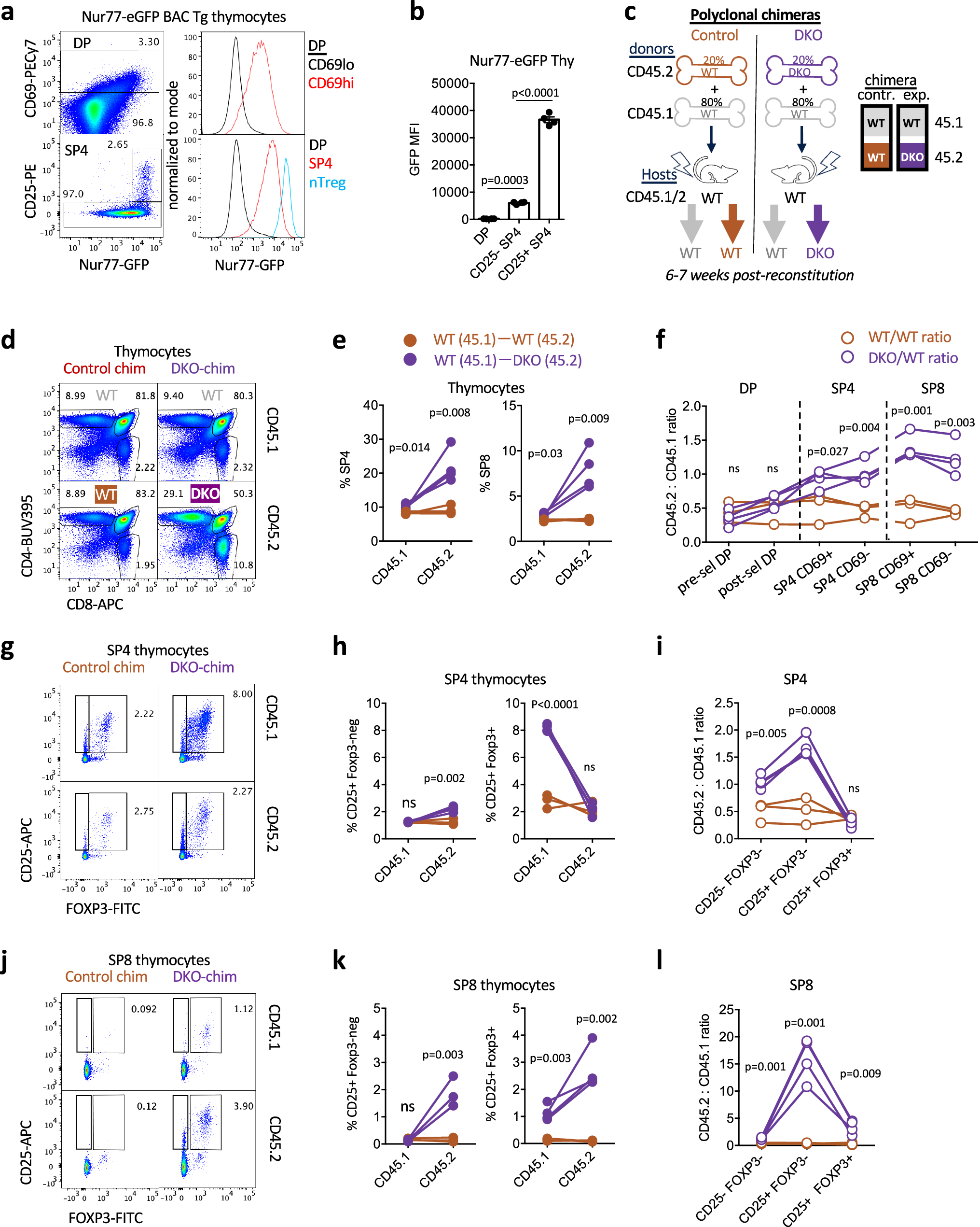 Nr4a1 and Nr4a3 redundantly control clonal deletion and contribute to an  anergy-like transcriptome in auto-reactive thymocytes to impose tolerance  in mice | Nature Communications