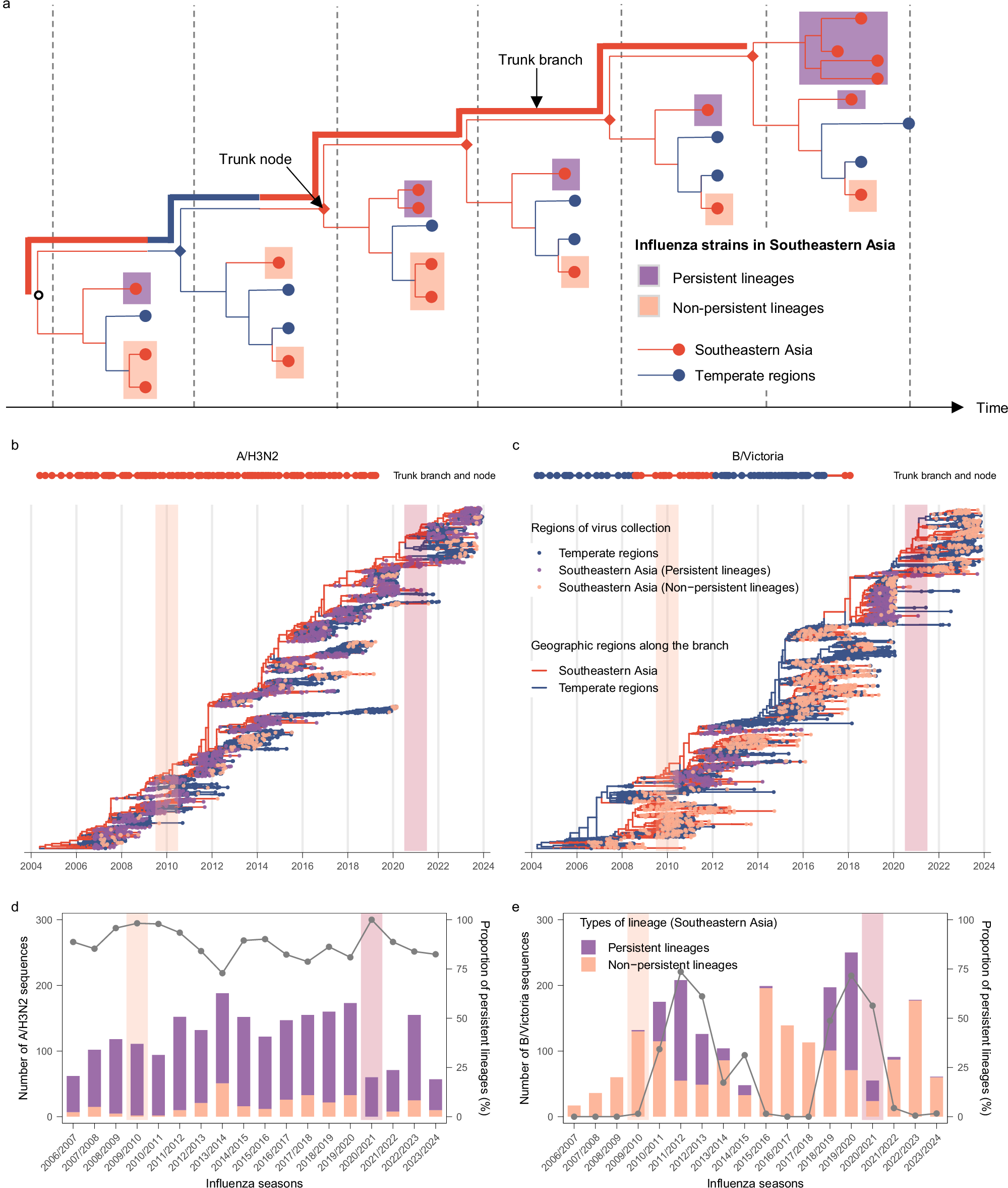 Fig. 3: Persistent lineages within Southeastern Asia and their topological and temporal distributions under the even sub-sampling scheme.