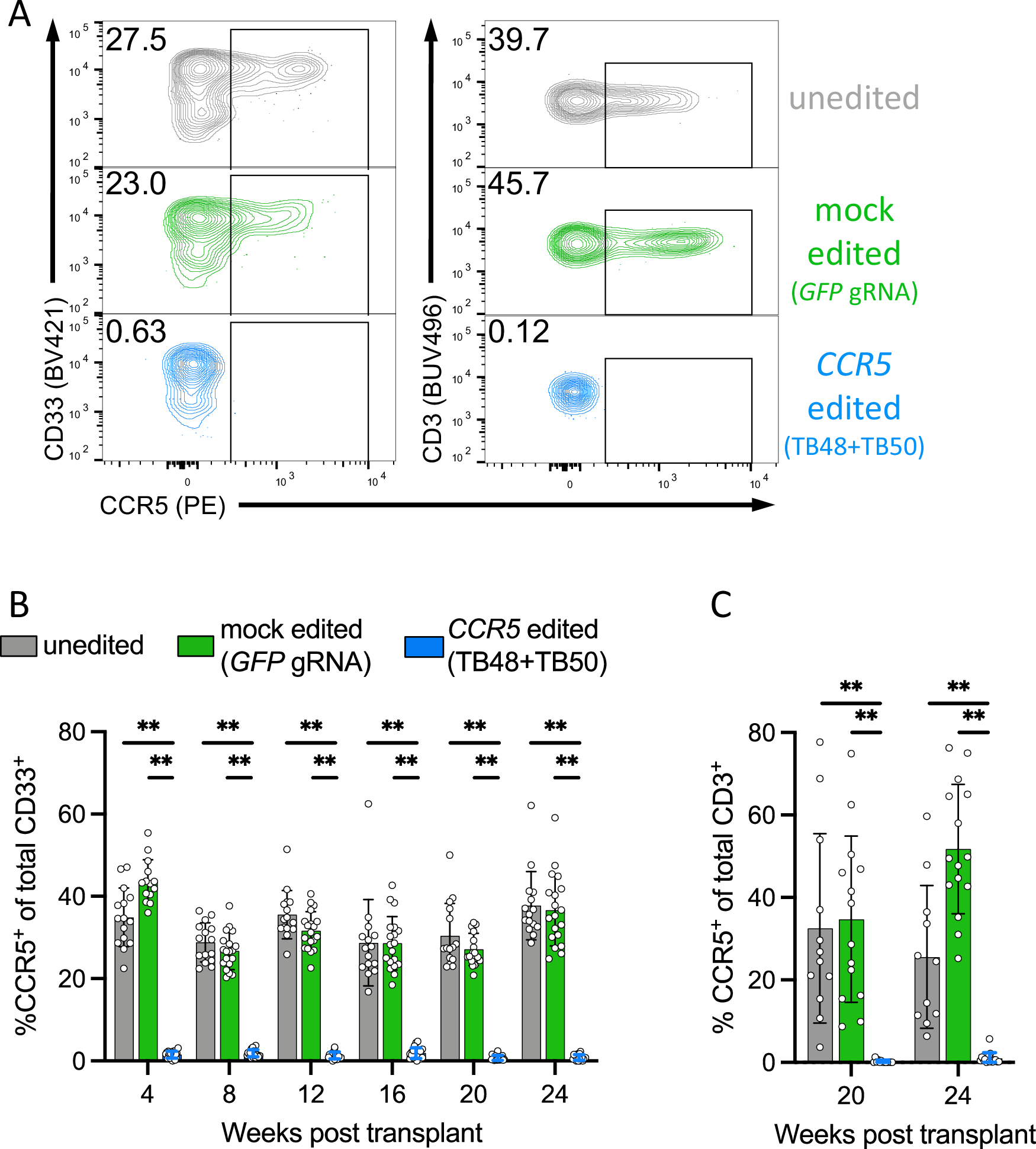 Fig. 5: Robust CCR5 editing in HSPCs is stable in vivo and gives rise to differentiated myeloid and lymphoid cell lineages lacking CCR5.