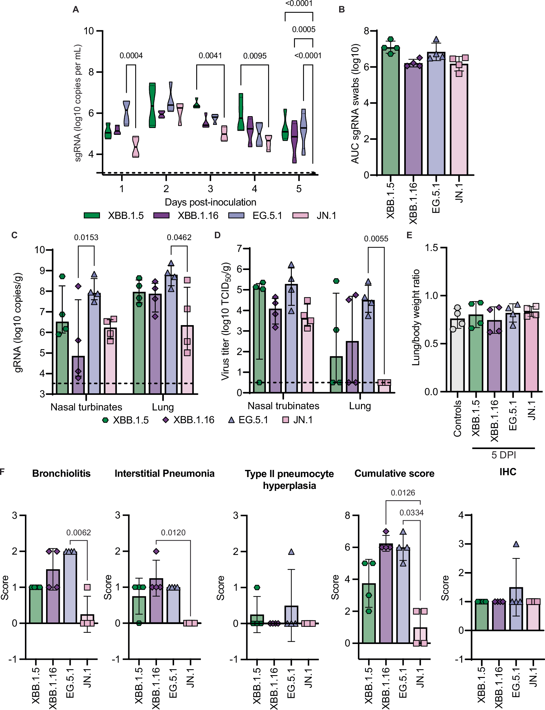 Fig. 2: Differences in virus replication kinetics in hamsters inoculated with Omicron variants.