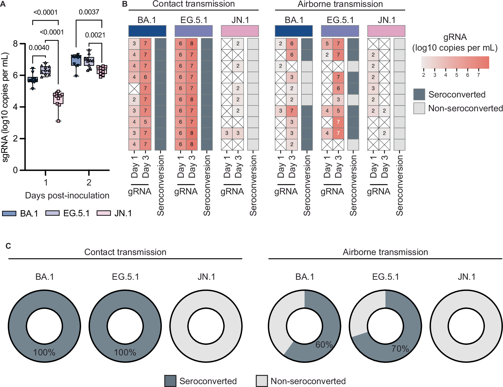 Fig. 6: JN.1 fails to transmit between hamsters via contact and airborne transmission.