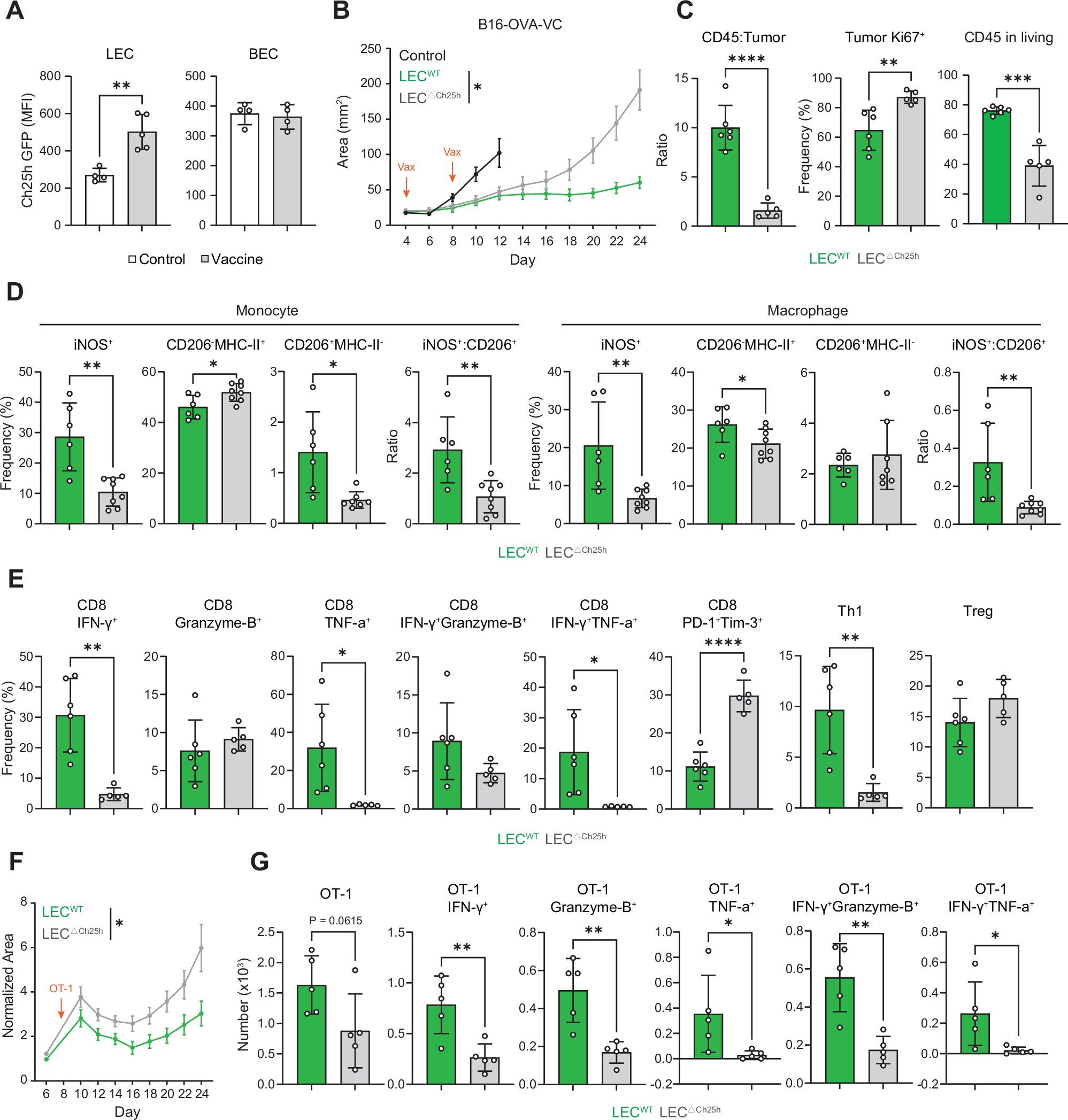 Fig. 3: Loss of Ch25h in LECs dampens immunotherapy efficacy in lymphangiogenic melanoma.