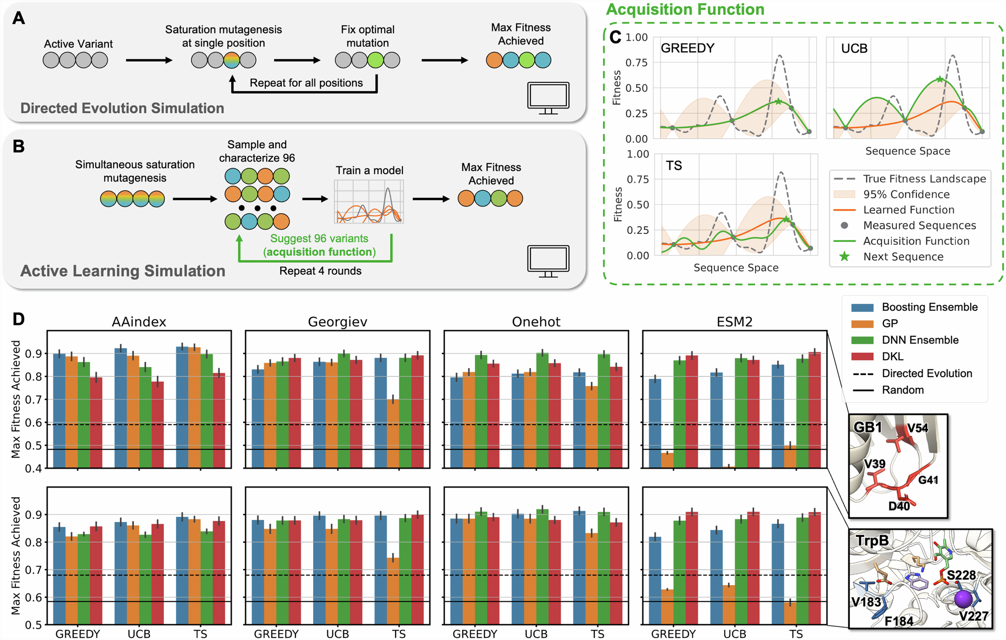 Fig. 4: Performance of simulated ALDE campaigns on two combinatorially complete protein datasets, GB1 and TrpB.