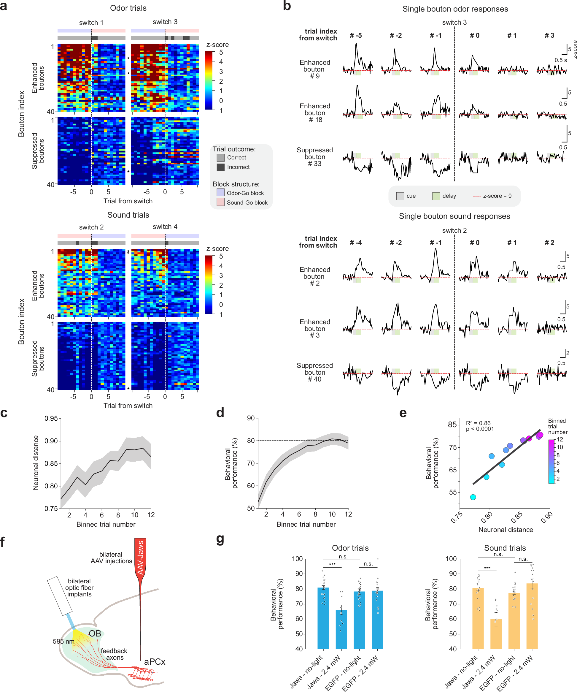 Fig. 5: Cortical bulbar feedback activity mirrors the perceived reward rule.