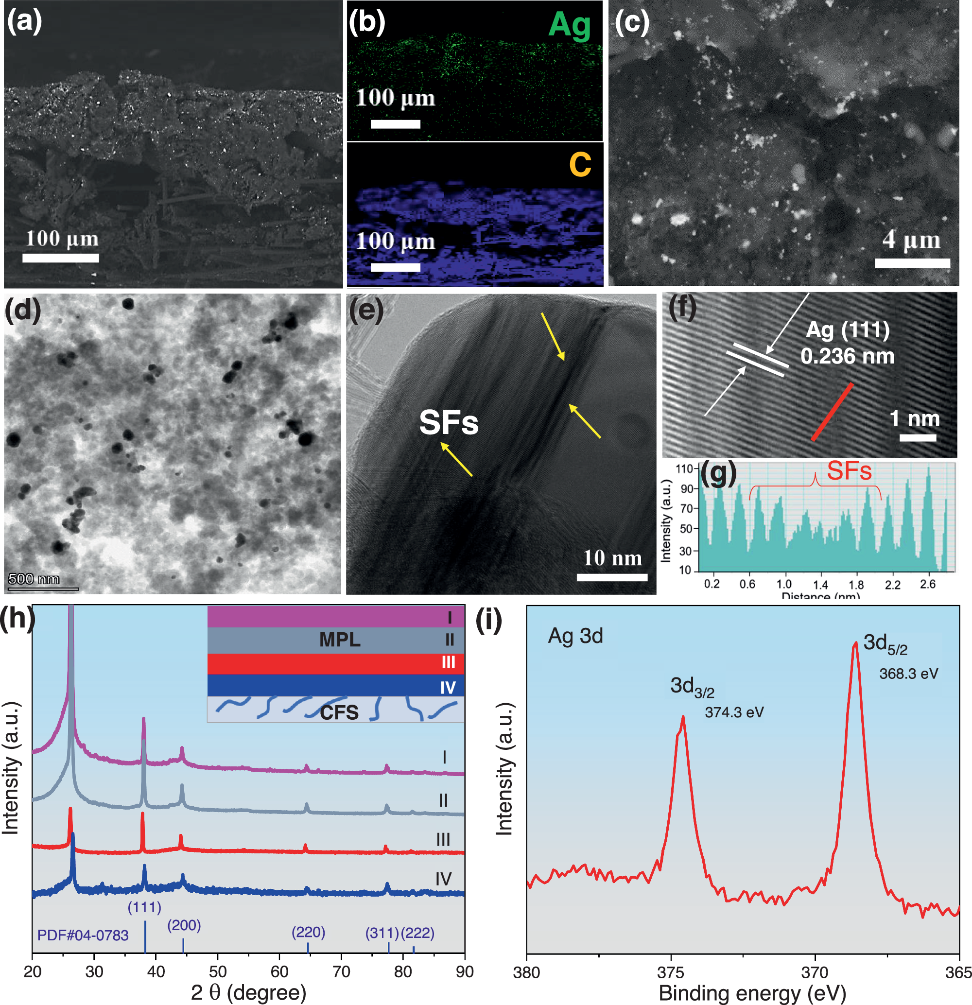 Fig. 1: Structural characterizations of Ag NPs-Skeleton.