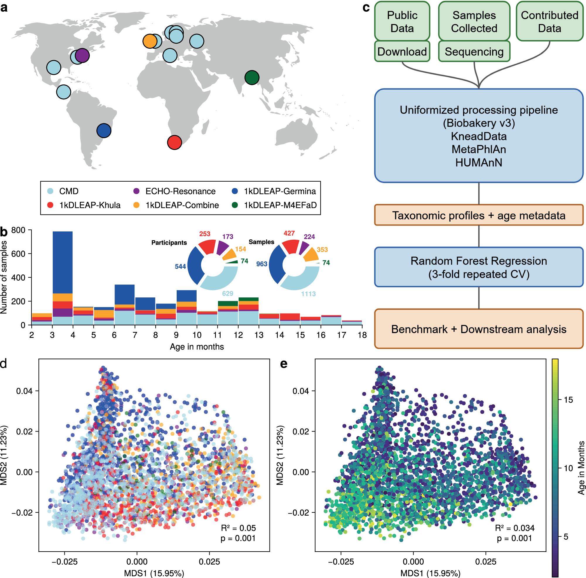 Early life microbial succession in the gut follows common patterns in humans across the globe