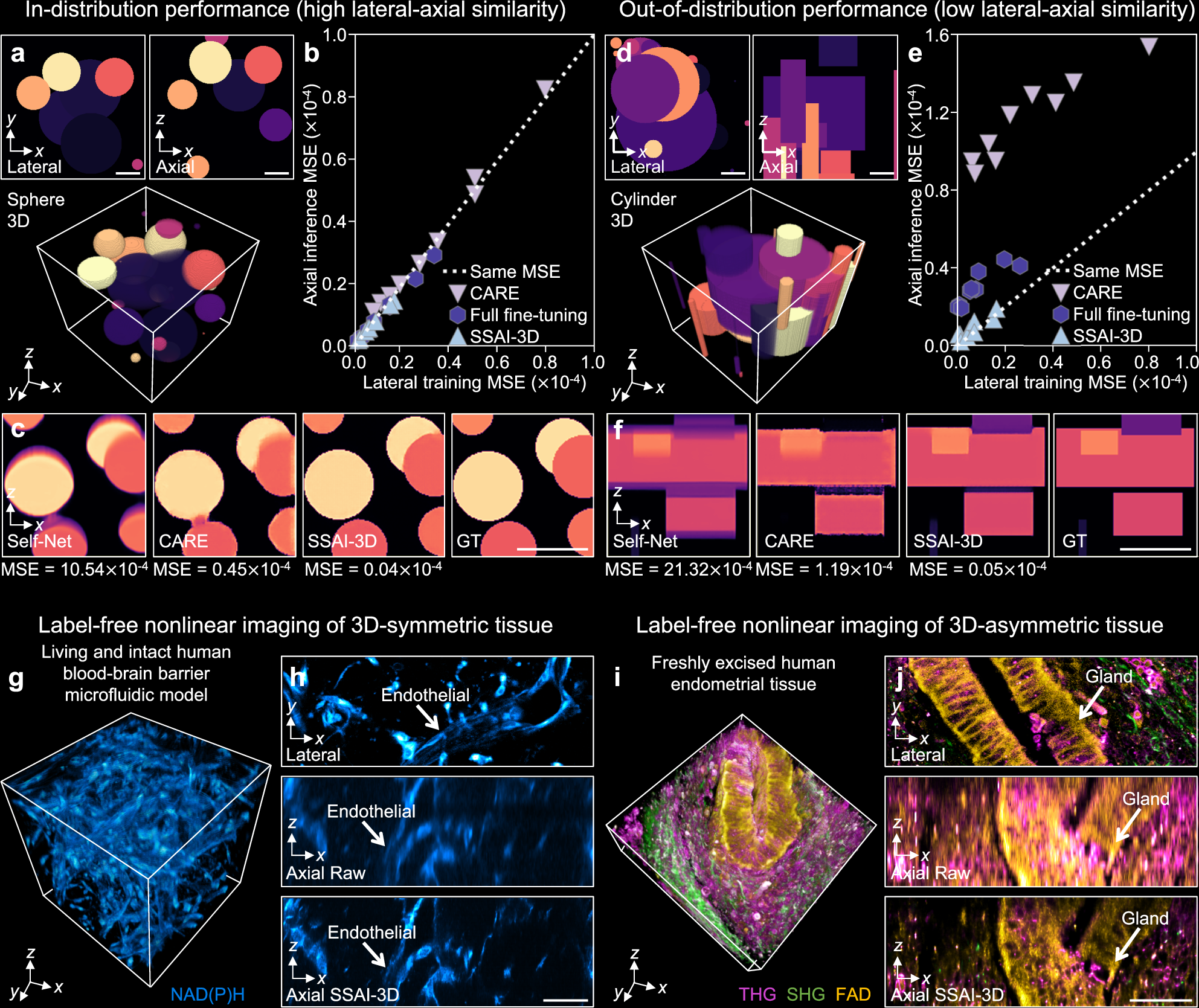 Fig. 3: Effect of lateral-axial similarity of 3D data using simulations and tissues.