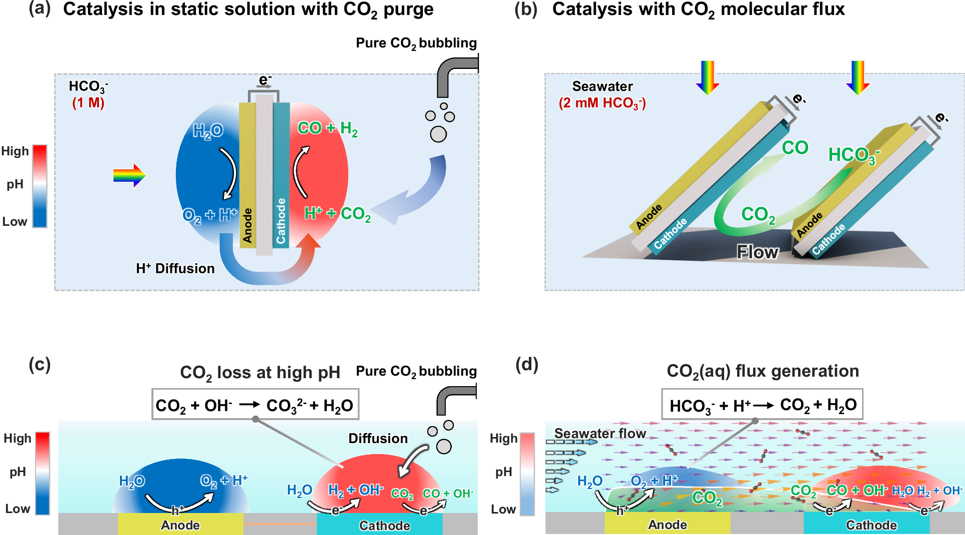 深海で燃料を生み出す技術（Making fuels from sunlight）