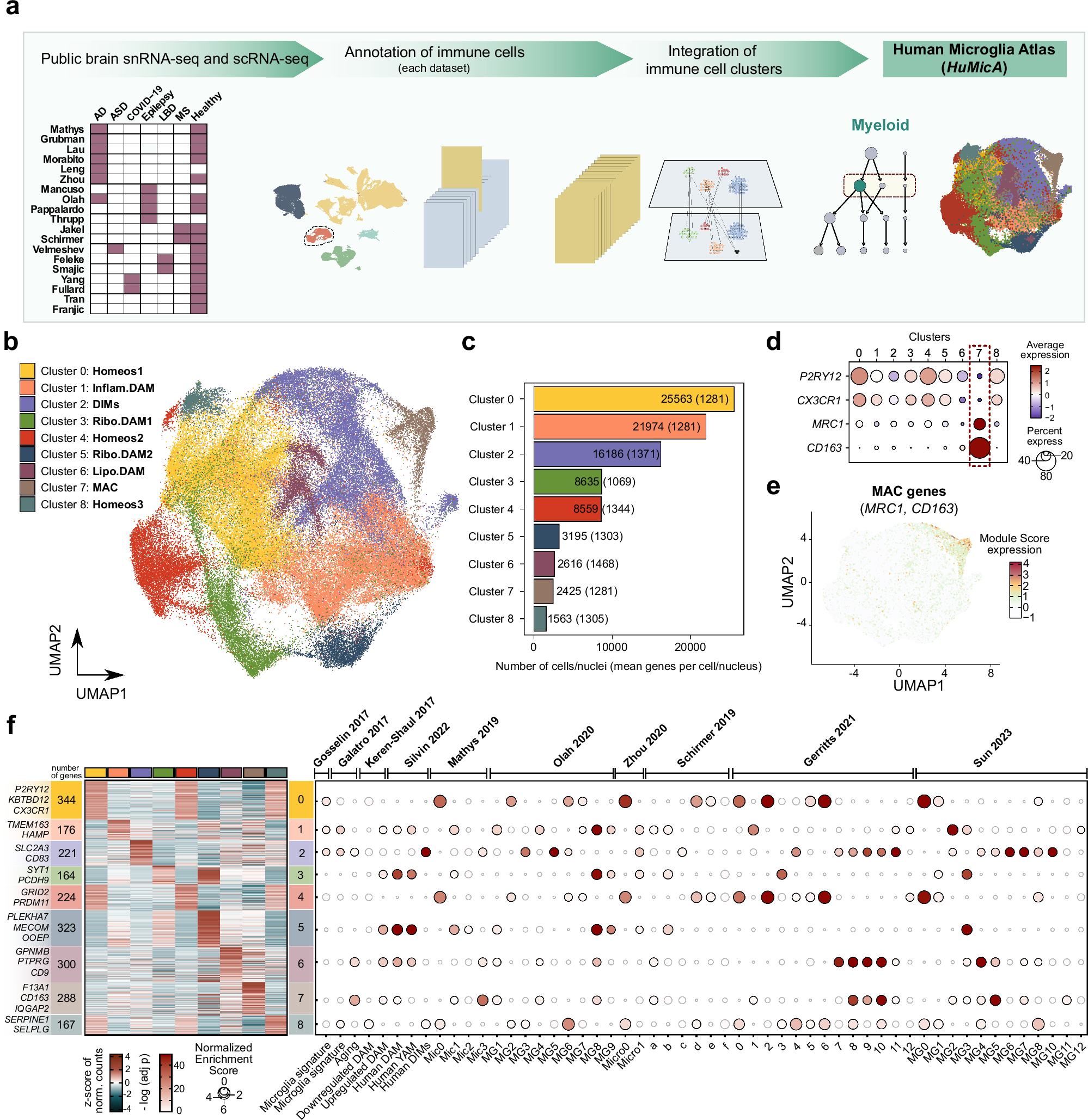 Fig. 1: The Human Microglia Atlas (HuMicA).