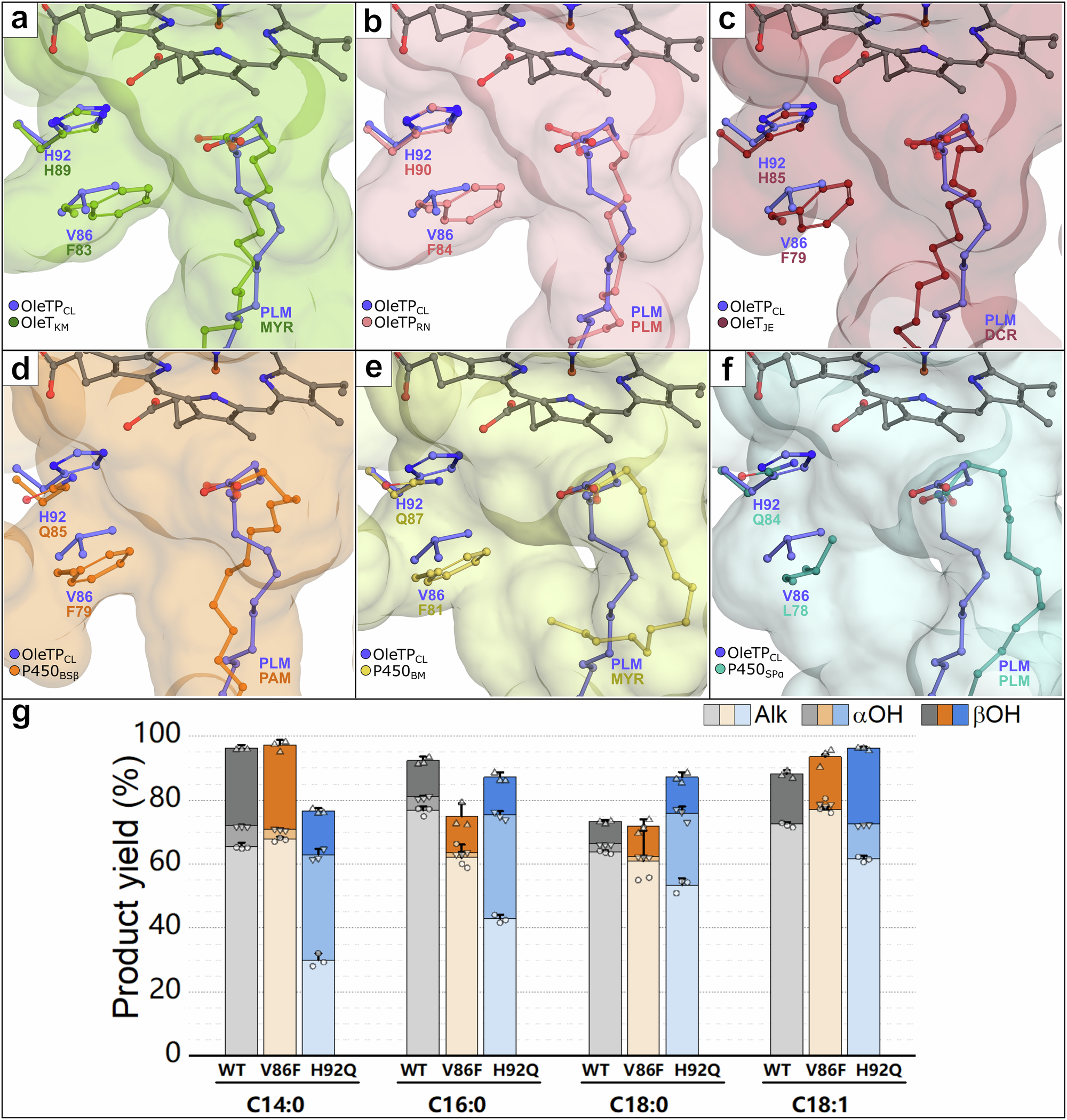 Fig. 2: Substrate binding and chemoselectivity.
