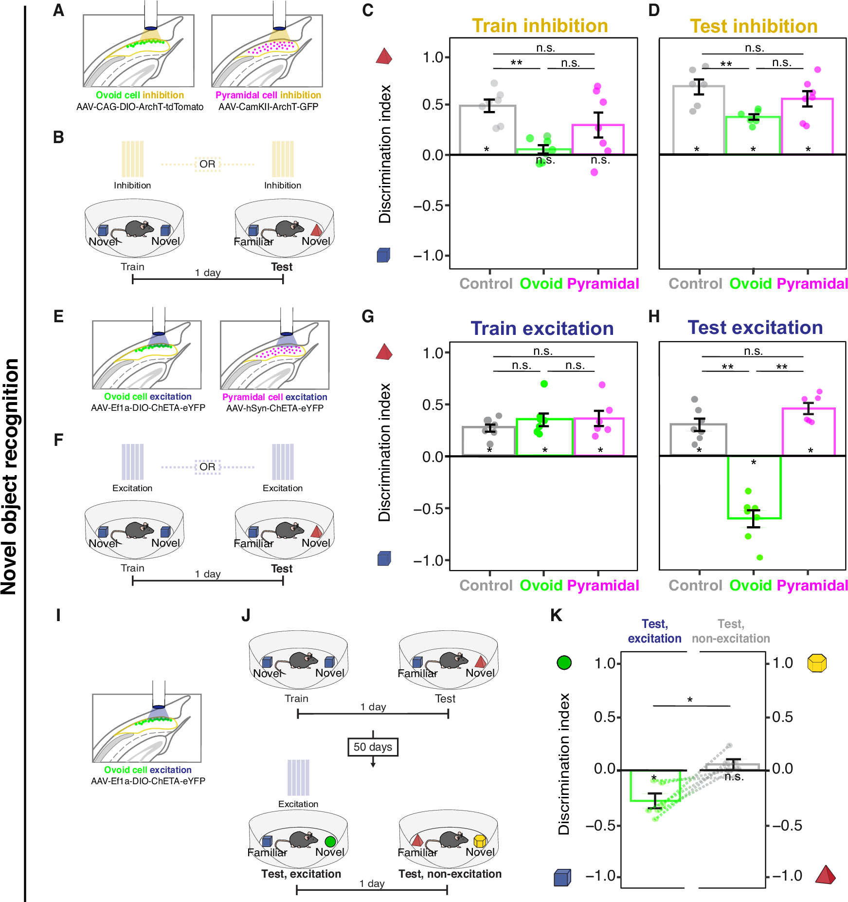 Fig. 6: Optogenetic manipulation of ovoid cells toggles object preference.