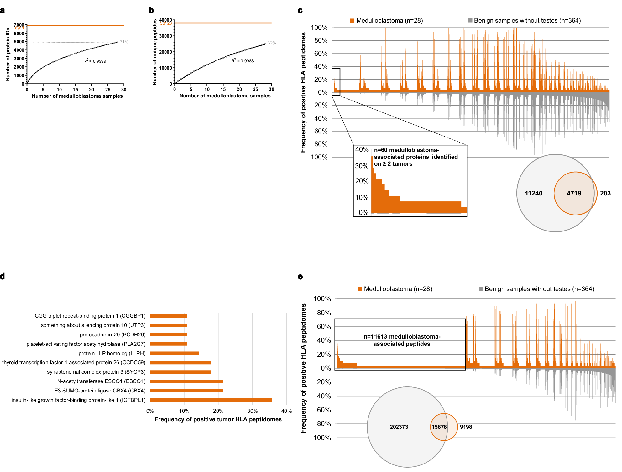 Fig. 3: Definition of medulloblastoma-associated proteins and peptides based on class II immunopeptidome analyses.