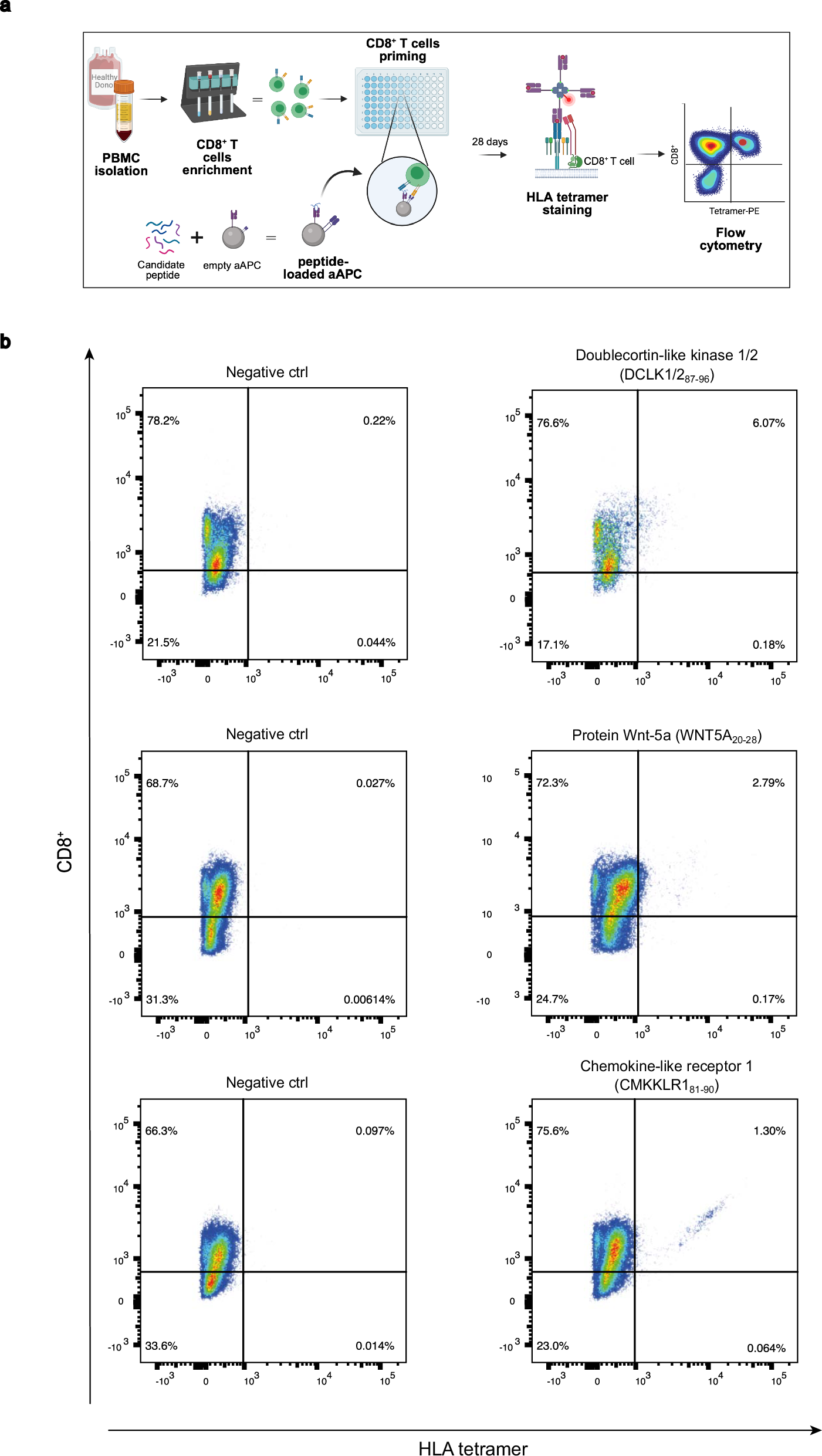 Fig. 6: Functional testing of medulloblastoma-associated candidate peptides revealed immune recognition by non-autologous CD8 + T cells.