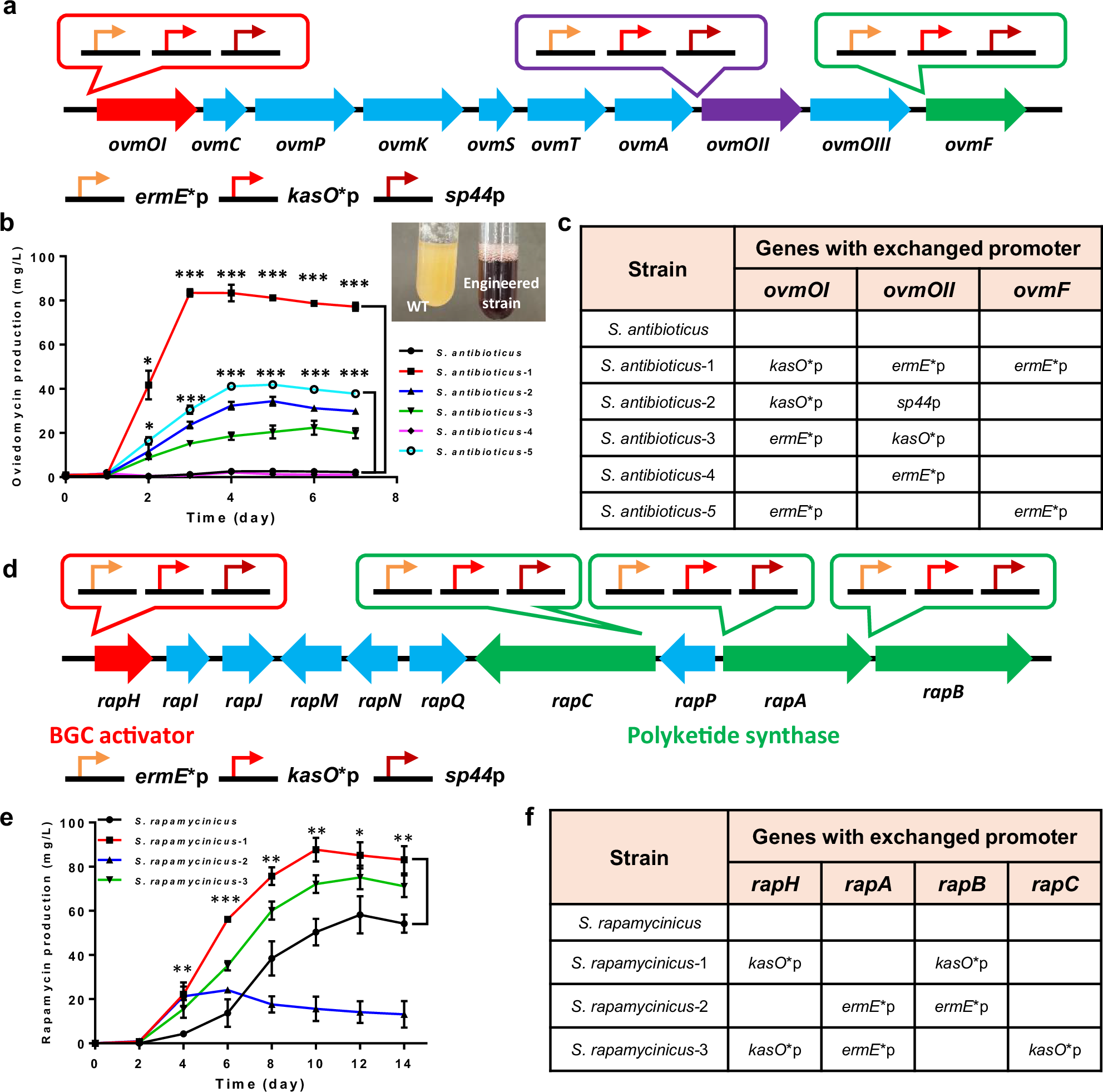 Fig. 3: Improved metabolite production in Streptomyces sp. with multiplexed genome editing by Cas9-BD.