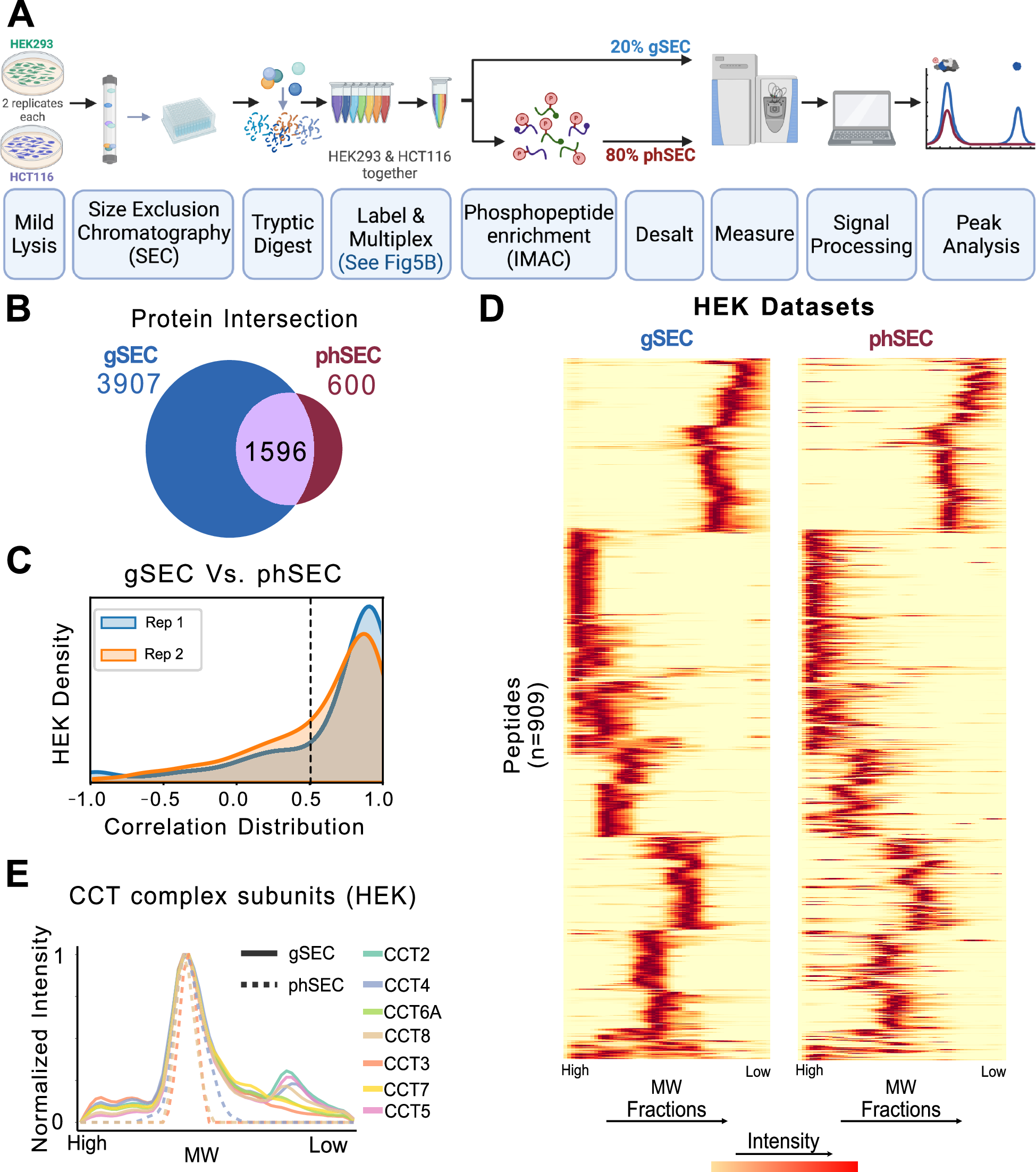 Fig. 2: SEC-MX enables phosphopeptide enrichment.