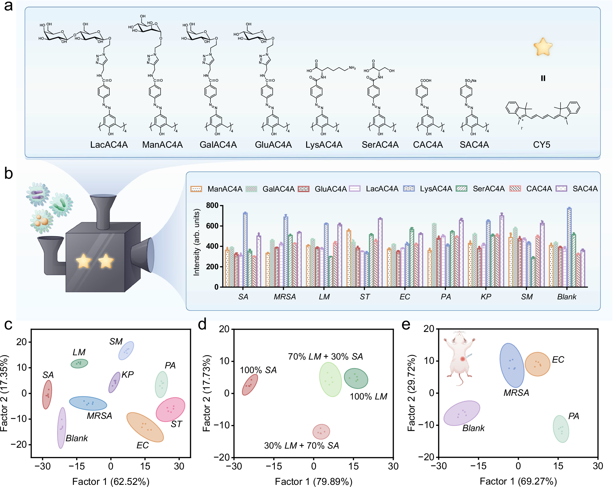Fig. 2: Construction of the sensor array and the discrimination of intracellular bacteria.