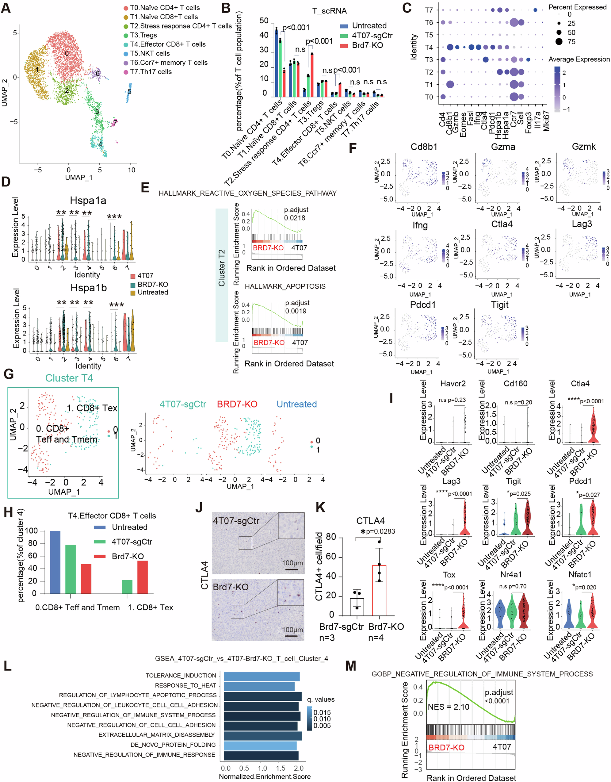 Fig. 5: CD8 + exhausted T cells and stress response CD4 + T cells are enriched in breast cancer lung metastasis upon Brd7 loss.
