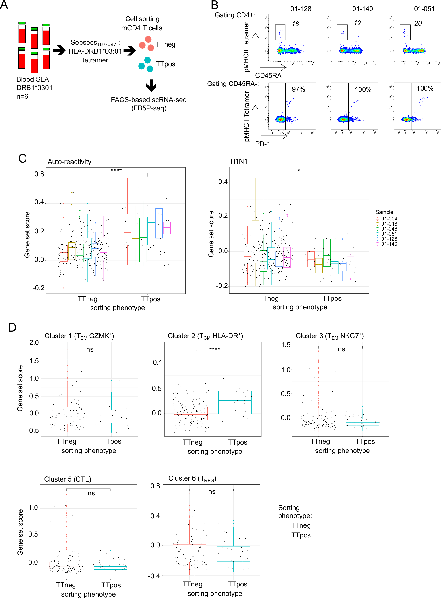 Fig. 4: Single cell transcriptomic analysis of unstimulated Sepsecs-specific CD4 T cells.