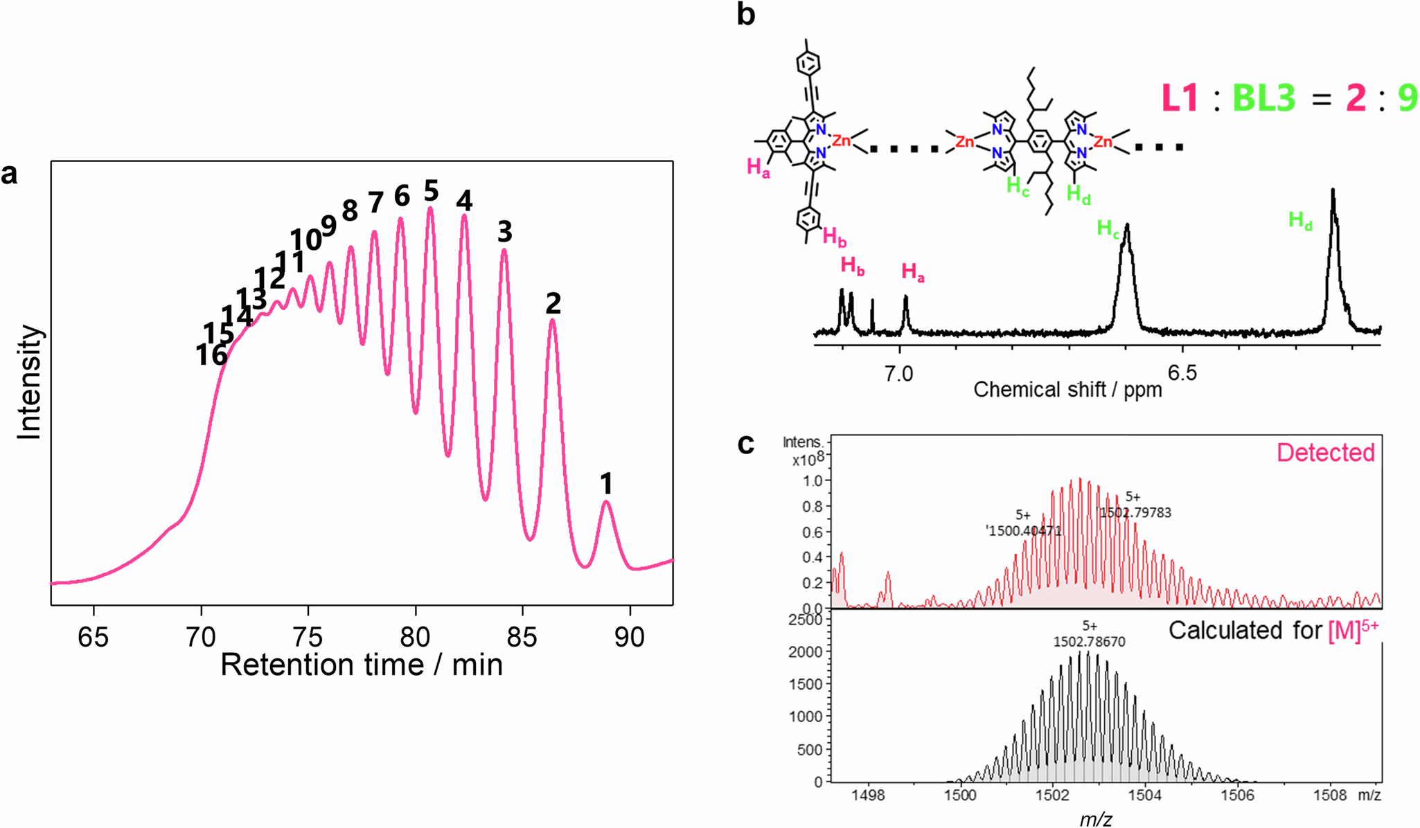 Fig. 2: Characterization of nanochain C1N.