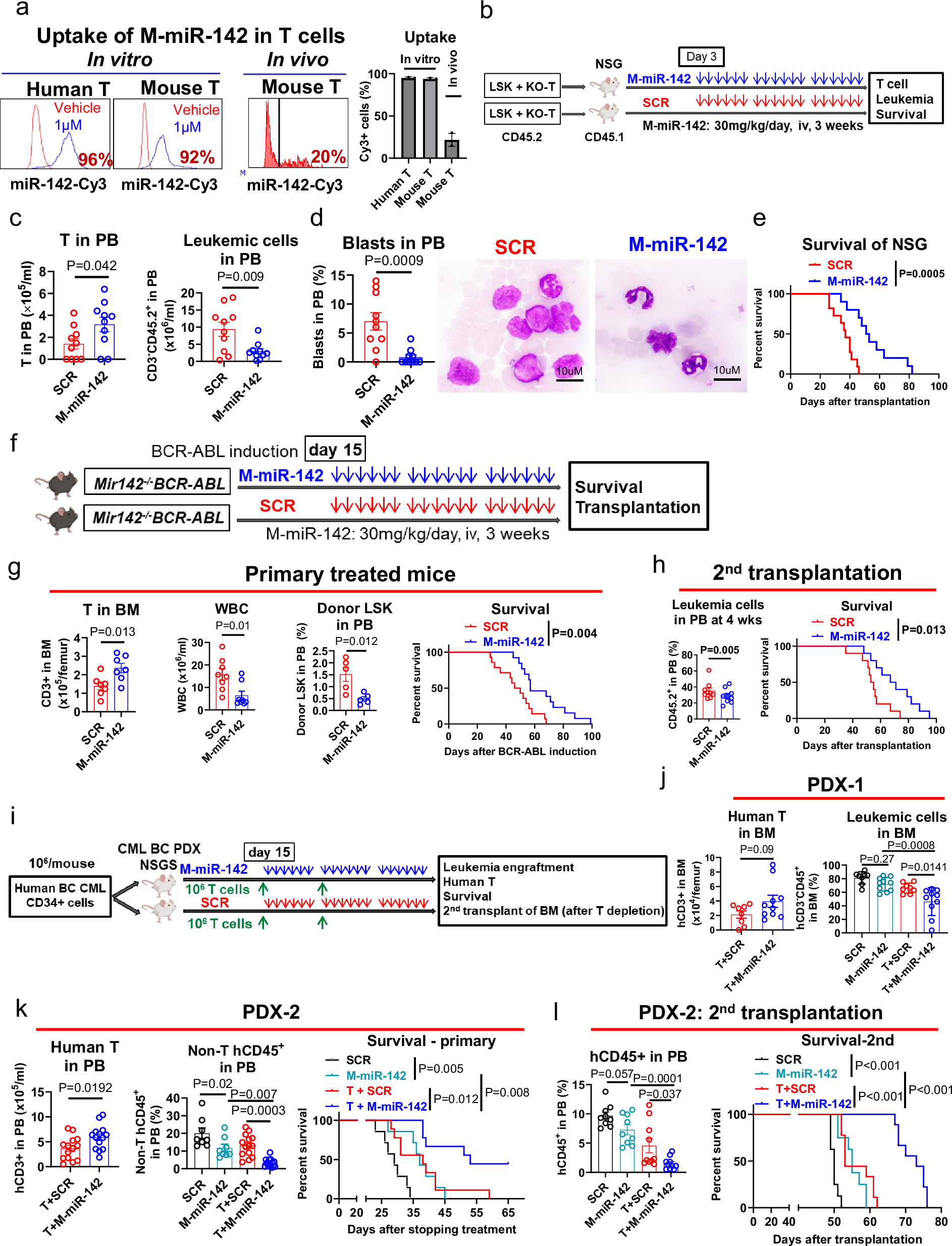 Fig. 6: M-miR-142 restores T cell antileukemic activity.