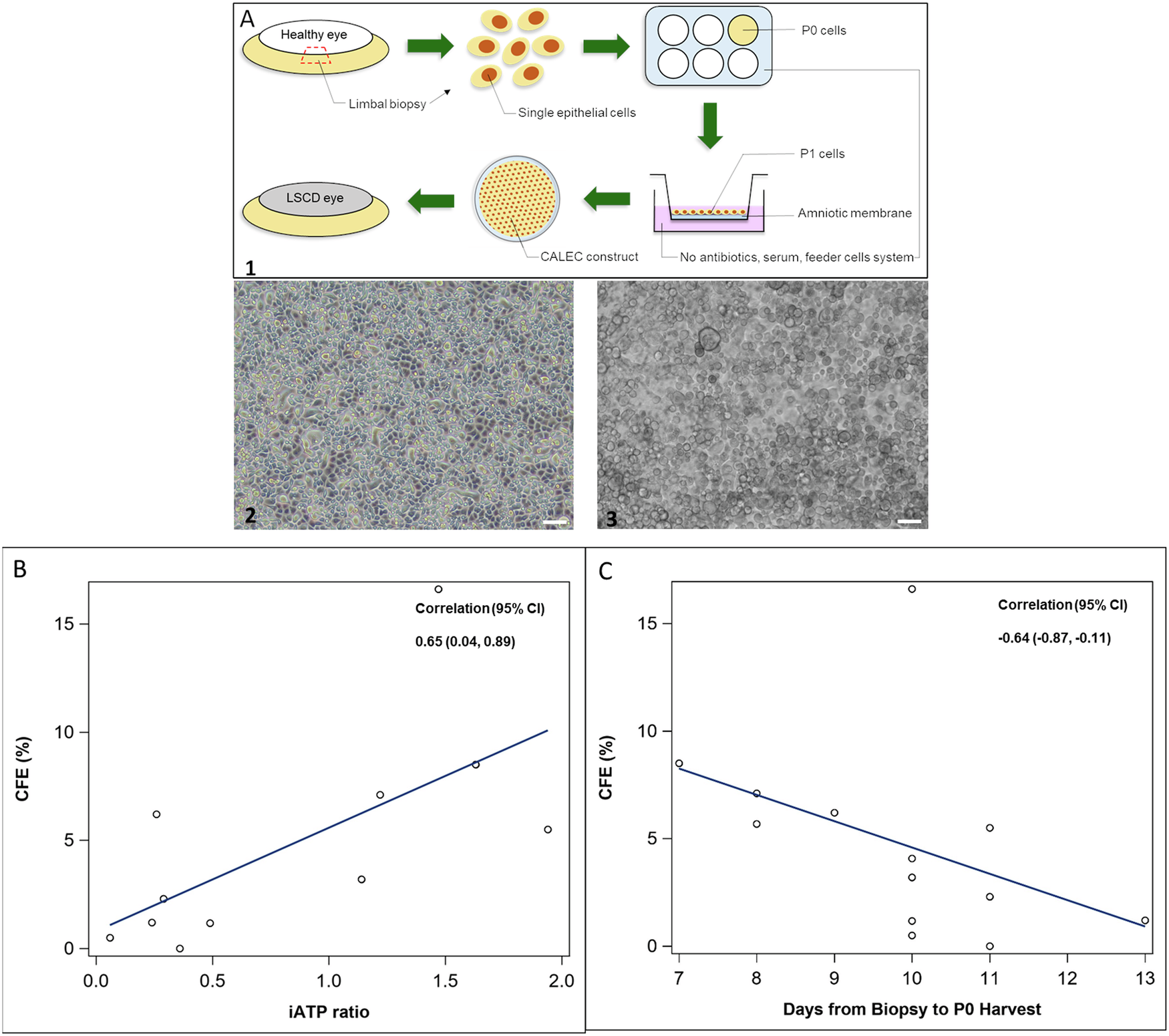Fig. 2: Manufacturing Data.