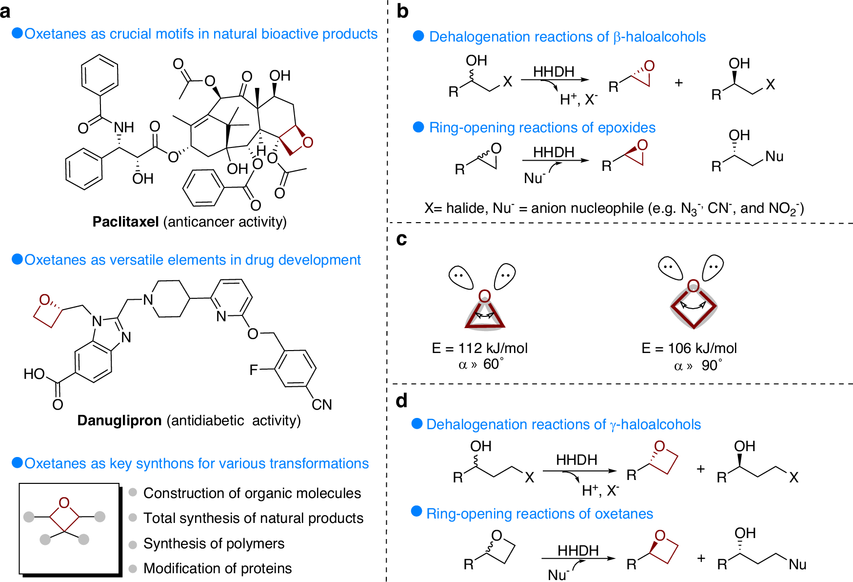 Biocatalytic enantioselective formation and ring-opening of 