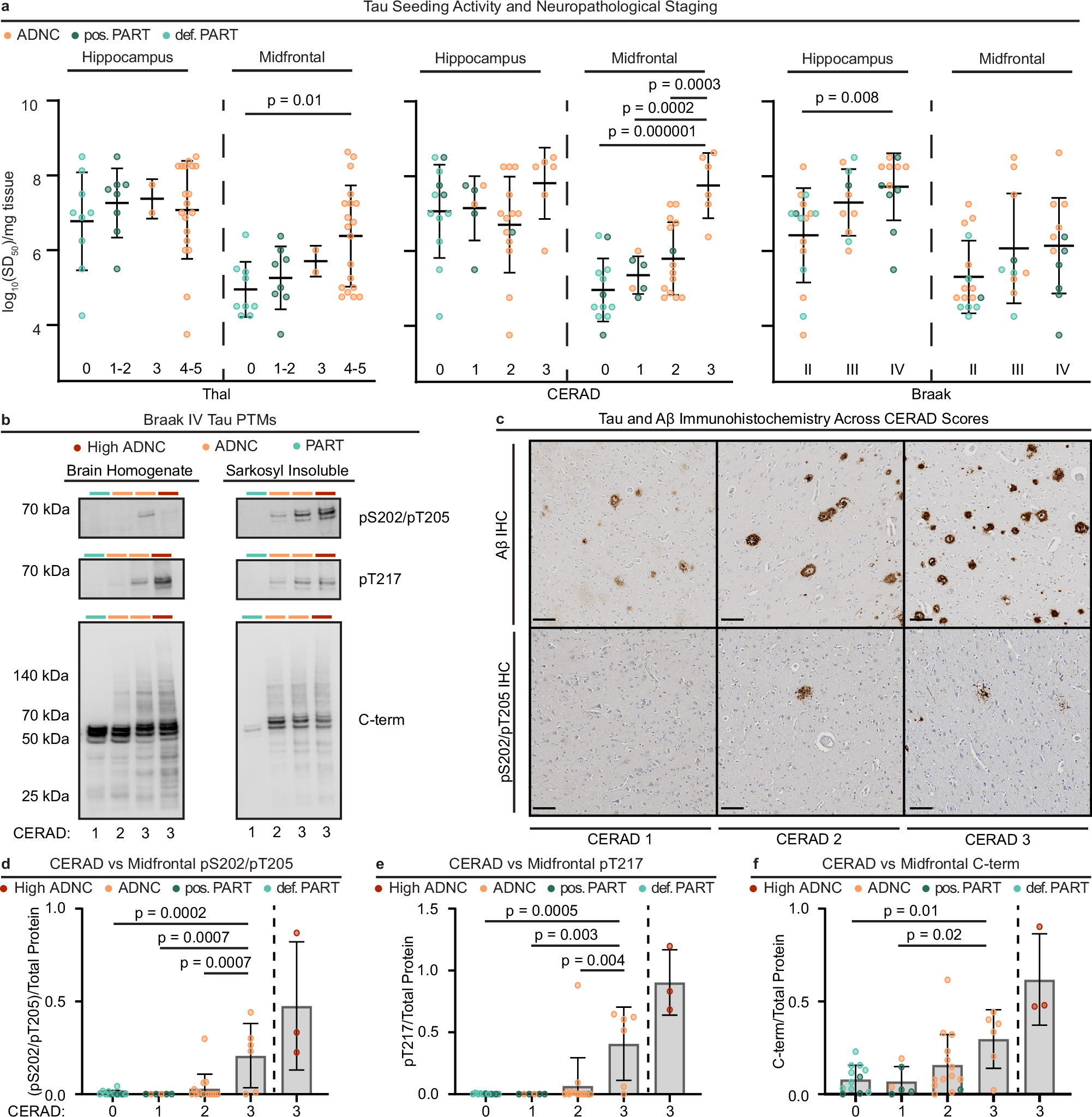 Fig. 4: Amyloid-β neuritic plaque density correlates with increased MF-ADNC tau seeding activity and PTMs.